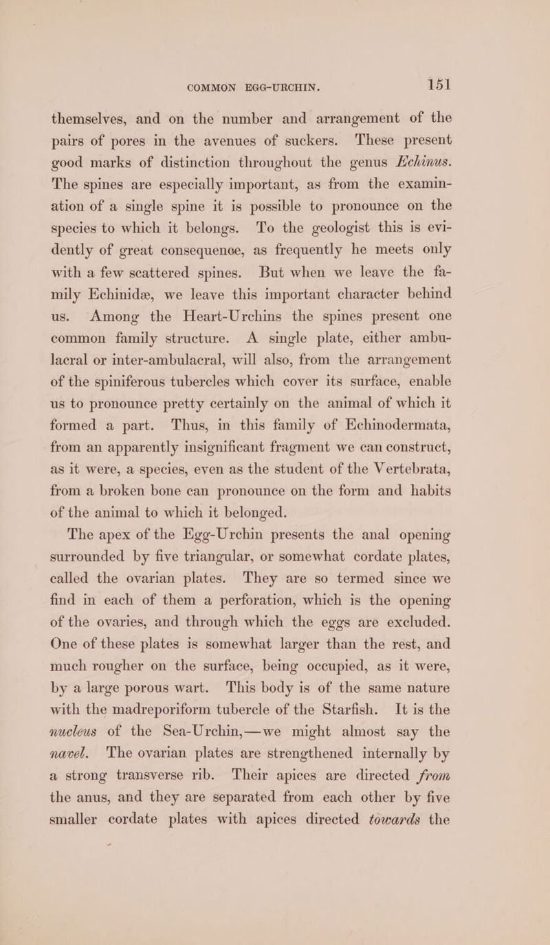 themselves, and on the number and arrangement of the pairs of pores in the avenues of suckers. These present good marks of distinction throughout the genus Hchinus. The spines are especially important, as from the examin- ation of a single spine it is possible to pronounce on the species to which it belongs. To the geologist this is evi- dently of great consequence, as frequently he meets only with a few scattered spines. But when we leave the fa- mily Echinide, we leave this important character behind us. Among the Heart-Urchins the spines present one common family structure. A single plate, either ambu- lacral or inter-ambulacral, will also, from the arrangement of the spiniferous tubercles which cover its surface, enable us to pronounce pretty certainly on the animal of which it formed a part. Thus, in this family of Echmodermata, from an apparently insignificant fragment we can construct, as it were, a species, even as the student of the Vertebrata, from a broken bone can pronounce on the form and habits of the animal to which it belonged. The apex of the Egg-Urchin presents the anal opening surrounded by five triangular, or somewhat cordate plates, called the ovarian plates. They are so termed since we find in each of them a perforation, which is the opening of the ovaries, and through which the eggs are excluded. One of these plates is somewhat larger than the rest, and much rougher on the surface, being occupied, as it were, by a large porous wart. This body is of the same nature with the madreporiform tubercle of the Starfish. It is the nucleus of the Sea-Urchin,—we might almost say the navel. The ovarian plates are strengthened internally by a strong transverse rib. Their apices are directed from the anus, and they are separated from each other by five smaller cordate plates with apices directed towards the -