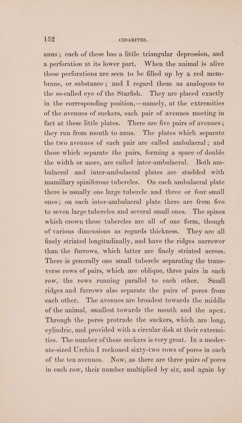 anus; each of these has a little triangular depression, and a perforation at its lower part. When the animal is alive these perforations are seen to be filled up by a red mem- brane, or substance; and I regard them as analogous to the so-called eye of the Starfish. They are placed exactly in the corresponding position,—namely, at the extremities of the avenues of suckers, each pair of avenues meeting in fact at these little plates. There are five pairs of avenues ; they run from mouth to anus. The plates which separate the two avenues of each pair are called ambulacral; and those which separate the pairs, forming a space of double the width or more, are called inter-ambulacral. Both am- bulacral and inter-ambulacral plates are studded with mamillary spiniferous tubercles. On each ambulacral plate there is usually one large tubercle and three or four small ones; on each inter-ambulacral plate there are from five to seven large tubercles and several small ones. The spines which crown these tubercles are all of one form, though of various dimensions as regards thickness. They are all finely striated longitudinally, and have the ridges narrower than the furrows, which latter are finely striated across. There is generally one small tubercle separating the trans- verse rows of pairs, which are oblique, three pairs in each row, the rows running parallel to each other. Small ridges and furrows also separate the pairs of pores from each other. The avenues are broadest towards the middle of the animal, smallest towards the mouth and the apex. Through the pores protrude the suckers, which are long, cylindric, and provided with a circular disk at their extremi- ties. The number of these suckers is very great. In a moder- ate-sized Urchin I reckoned sixty-two rows of pores in each of the ten avenues. Now, as there are three pairs of pores in each row, their number multiplied by six, and again by