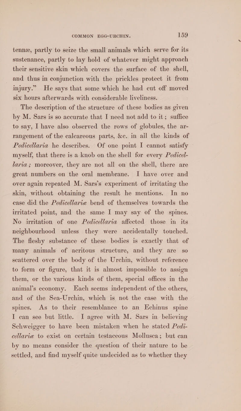 tenne, partly to seize the small animals which serve for its sustenance, partly to lay hold of whatever might approach their sensitive skin which covers the surface of the shell, and thus m conjunction with the prickles protect it from injury.” He says that some which he had cut off moved six hours afterwards with considerable liveliness. The description of the structure of these bodies as given by M. Sars is so accurate that I need not add to it; suffice to say, I have also observed the rows of globules, the ar- rangement of the calcareous parts, &amp;c. in ail the kinds of Pedicellaria he describes. Of one point I cannot satisfy — myself, that there is a knob on the shell for every Pedicel- laria ; moreover, they are not all on the shell, there are great numbers on the oral membrane. I have over and over again repeated M. Sars’s experiment of irritating the skin, without obtaiming the result he mentions. In no case did the Pedicellarie bend of themselves towards the irritated point, and the same I may say of the spines. No irritation of one Pedicellaria affected those in its neighbourhood unless they were accidentally touched. The fleshy substance of these bodies is exactly that of many animals of acritous structure, and they are so scattered over the body of the Urchin, without reference to form or figure, that it is almost impossible to assign them, or the various kinds of them, special offices in the animal’s economy. Hach seems independent of the others, and of the Sea-Urchin, which is not the case with the spines. As to their resemblance to an Echinus spine I can see but little. I agree with M. Sars in believing Schweigger to have been mistaken when he stated Pedi- cellarie to exist on certain testaceous Mollusca; but can by no means consider the question of their nature to be settled, and find myself quite undecided as to whether they