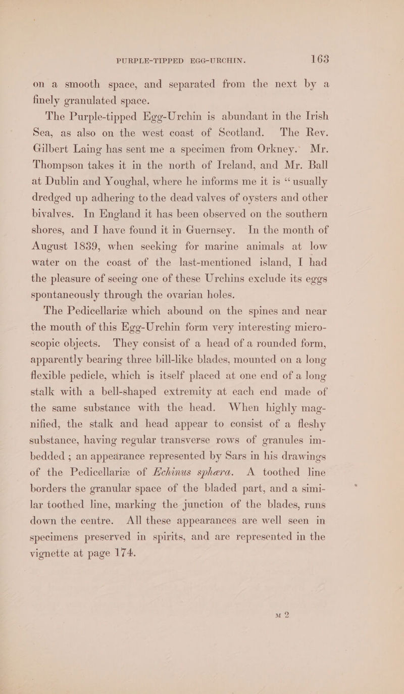 on a smooth space, and separated from the next by a finely granulated space. The Purple-tipped Egg-Urchin is abundant in the Irish Sea, as also on the west coast of Scotland. The Rey. Gilbert Laing has sent me a specimen from Orkney. Mr. Thompson takes it in the north of Ireland, and Mr. Ball at Dublin and Youghal, where he informs me it is “ usually dredged up adhering to the dead valves of oysters and other bivalves. In England it has been observed on the southern shores, and I have found it in Guernsey. In the month of August 1839, when seeking for marine animals at low water on the coast of the last-mentioned island, I had the pleasure of seeing one of these Urchins exclude its eggs spontaneously through the ovarian holes. The Pedicellariz which abound on the spines and near the mouth of this Egg-Urchin form very interesting micro- scopic objects. They consist of a head of a rounded form, apparently bearing three bill-like blades, mounted on a long flexible pedicle, which is itself placed at one end of a long stalk with a bell-shaped extremity at each end made of the same substance with the head. When highly mag- nified, the stalk and head appear to consist of a fleshy substance, having regular transverse rows of granules im- bedded ; an appearance represented by Sars in his drawings of the Pedicellarize of Hchinus sphera. A toothed line borders the granular space of the bladed part, and a simi- lar toothed line, marking the junction of the blades, runs down the centre. All these appearances are well seen in specimens preserved in spirits, and are represented in the vignette at page 174.
