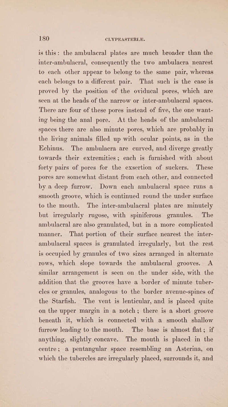 is this: the ambulacral plates are much broader than the inter-ambulacral, consequently the two ambulacra nearest to each other appear to belong to the same pair, whereas each belongs to a different pair. That such is the case is proved by the position of the oviducal pores, which are seen at the heads of the narrow or inter-ambulacral spaces. There are four of these pores instead of five, the one want- ing being the anal pore. At the heads of the ambulacral spaces there are also minute pores, which are probably in the living animals filled up with ocular points, as in the Kechinus. The ambulacra are curved, and diverge greatly towards their extremities; each is furnished with about forty pairs of pores for the exsertion of suckers. These pores are somewhat distant from each other, and connected by a deep furrow. Down each ambulacral space runs a smooth groove, which is continued round the under surface to the mouth. The inter-ambulacral plates are minutely but irregularly rugose, with spiniferous granules. The ambulacral are also granulated, but in a more complicated manner. That portion of their surface nearest the inter- ambulacral spaces is granulated irregularly, but the rest is occupied by granules of two sizes arranged in alternate rows, which slope towards the ambulacral grooves. &lt;A similar arrangement is seen on the under side, with the addition that the grooves have a border of minute tuber- cles or granules, analogous to the border avenue-spines of the Starfish. The vent is lenticular, and is placed quite on the upper margin in a notch; there is a short groove beneath it, which is connected with a smooth shallow furrow leading to the mouth. The base is almost flat; if anything, slightly concave. The mouth is placed in the centre; a pentangular space resembling an Asterina, on which the tubercles are irregularly placed, surrounds it, and