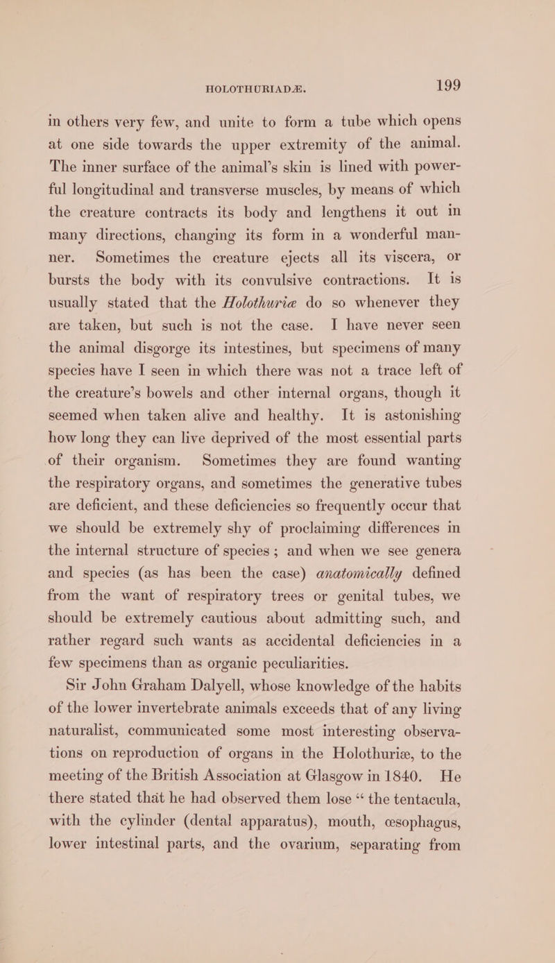 in others very few, and unite to form a tube which opens at one side towards the upper extremity of the animal. The inner surface of the animal’s skin is lined with power- ful longitudinal and transverse muscles, by means of which the creature contracts its body and lengthens it out in many directions, changing its form in a wonderful man- ner. Sometimes the creature ejects all its viscera, or bursts the body with its convulsive contractions. It 1s usually stated that the Holothurie do so whenever they are taken, but such is not the case. I have never seen the animal disgorge its intestines, but specimens of many species have I seen in which there was not a trace left of the creature’s bowels and other internal organs, though it seemed when taken alive and healthy. It is astonishing how long they can live deprived of the most essential parts of their organism. Sometimes they are found wanting the respiratory organs, and sometimes the generative tubes are deficient, and these deficiencies so frequently occur that we should be extremely shy of proclaiming differences in the internal structure of species ; and when we see genera and species (as has been the case) anatomically defined from the want of respiratory trees or genital tubes, we should be extremely cautious about admitting such, and rather regard such wants as accidental deficiencies in a few specimens than as organic peculiarities. Sir John Graham Dalyell, whose knowledge of the habits of the lower invertebrate animals exceeds that of any living naturalist, communicated some most interesting observa- tions on reproduction of organs in the Holothurie, to the meeting of the British Association at Glasgow in 1840. He there stated that he had observed them lose “ the tentacula, with the cylinder (dental apparatus), mouth, cesophagus, lower intestinal parts, and the ovarium, separating from
