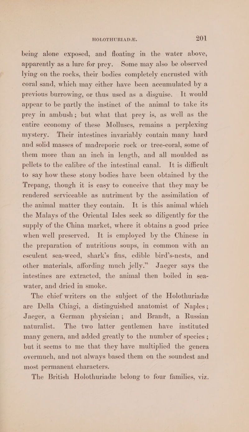 bemg alone exposed, and floating in the water above, apparently as a lure for prey. Some may also be observed lying on the rocks, their bodies completely encrusted with coral sand, which may either have been accumulated by a previous burrowing, or thus used as a disguise. It would appear to be partly the instinct of the animal to take its prey in ambush; but what that prey is, as well as the entire economy of these Molluscs, remains a perplexing mystery. Their intestines invariably contain many hard and solid masses of madreporic rock or tree-coral, some of them more than an inch in length, and all moulded as pellets to the calibre of the intestinal canal. It is difficult to say how these stony bodies have been obtained by the Trepang, though it is easy to conceive that they may be rendered serviceable as nutriment by the assimilation of the animal matter they contain. It is this animal which the Malays of the Oriental Isles seek so diligently for the supply of the China market, where it obtains a good price when well preserved. It is employed by the Chinese in the preparation of nutritious soups, in common with an esculent sea-weed, shark’s fins, edible bird’s-nests, and other materials, affording much jelly.” Jaeger says the intestines are extracted, the animal then boiled in sea- water, and dried in smoke. The chief writers on the subject of the Holothuriade are Della Chiagi, a distinguished anatomist of Naples; Jaeger, a German physician; and Brandt, a Russian naturalist. The two latter gentlemen have instituted many genera, and added greatly to the number of species ; but it seems to me that they have multiplied the genera overmuch, and not always based them on the soundest and most permanent characters. The British Holothuriade belong to four families, viz.