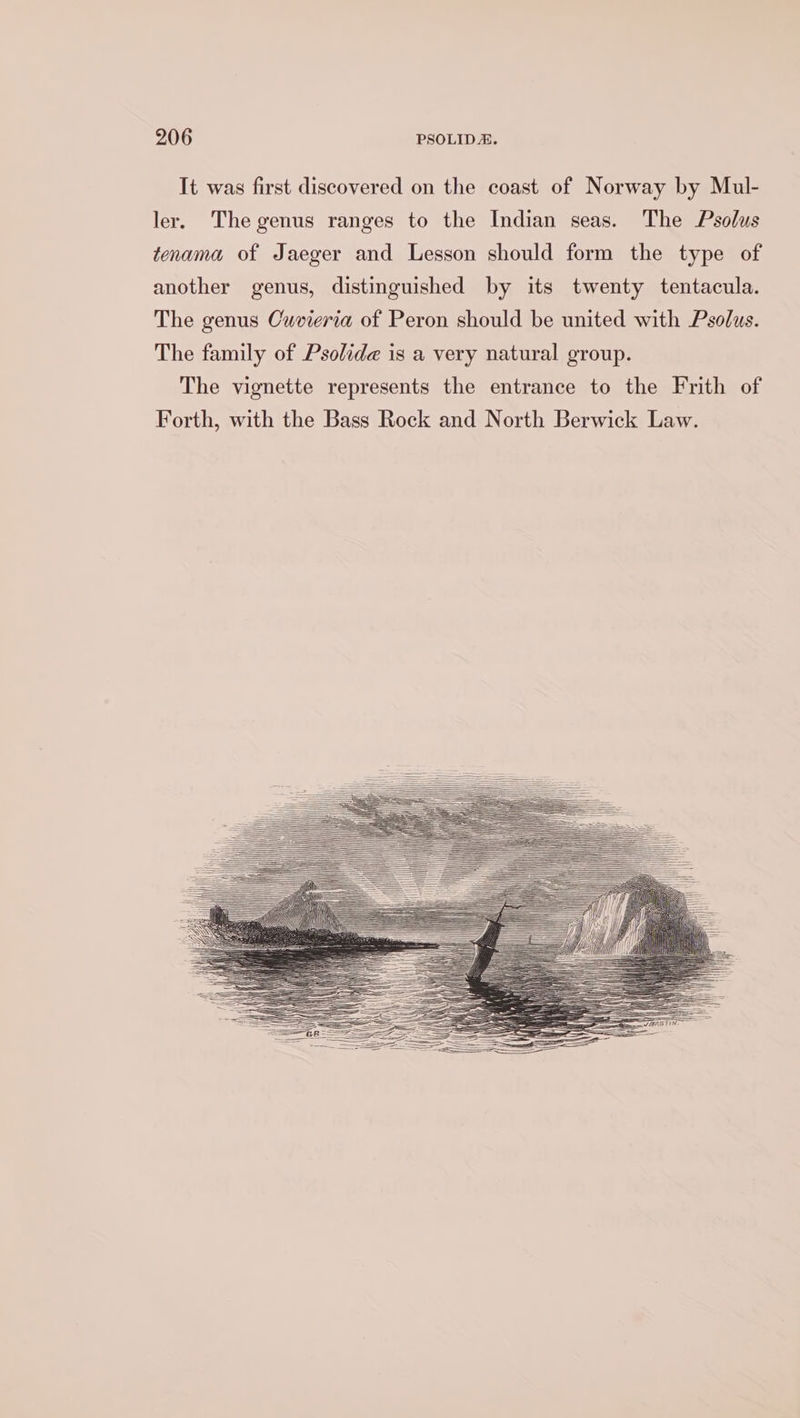 It was first discovered on the coast of Norway by Mul- ler. The genus ranges to the Indian seas. The Psolus tenama of Jaeger and Lesson should form the type of another genus, distinguished by its twenty tentacula. The genus Cuvieria of Peron should be united with Psolus. The family of Psolide is a very natural group. The vignette represents the entrance to the Frith of Forth, with the Bass Rock and North Berwick Law.