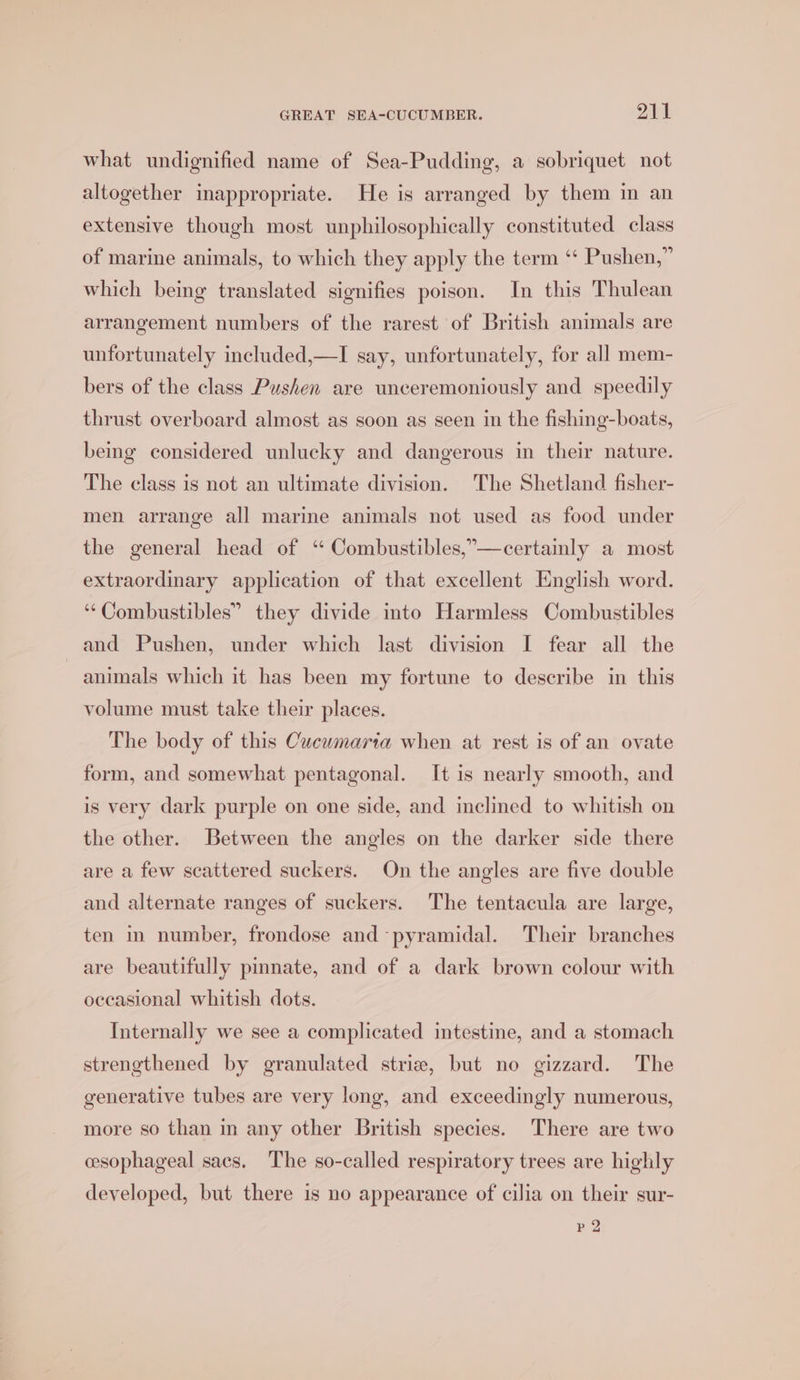 what undignified name of Sea-Pudding, a sobriquet not altogether inappropriate. He is arranged by them in an extensive though most unphilosophically constituted class of marine animals, to which they apply the term ‘“* Pushen,” which being translated signifies poison. In this Thulean arrangement numbers of the rarest of British animals are unfortunately included,—I say, unfortunately, for all mem- bers of the class Pushen are unceremoniously and speedily thrust overboard almost as soon as seen in the fishing-boats, being considered unlucky and dangerous in their nature. The class is not an ultimate division. The Shetland fisher- men arrange all marine animals not used as food under the general head of ‘ Combustibles,”—certainly a most extraordinary application of that excellent English word. ‘“‘Combustibles” they divide into Harmless Combustibles and Pushen, under which last division I fear all the animals which it has been my fortune to describe in this volume must take their places. The body of this Cucumaria when at rest is of an ovate form, and somewhat pentagonal. It is nearly smooth, and is very dark purple on one side, and inclined to whitish on the other. Between the angles on the darker side there are a few scattered suckers. On the angles are five double and alternate ranges of suckers. The tentacula are large, ten in number, frondose and-pyramidal. Their branches are beautifully pmnate, and of a dark brown colour with occasional whitish dots. Internally we see a complicated intestine, and a stomach strengthened by granulated strie, but no gizzard. The generative tubes are very long, and exceedingly numerous, more so than in any other British species. There are two cesophageal saes. The so-called respiratory trees are highly developed, but there is no appearance of cilia on their sur- P22
