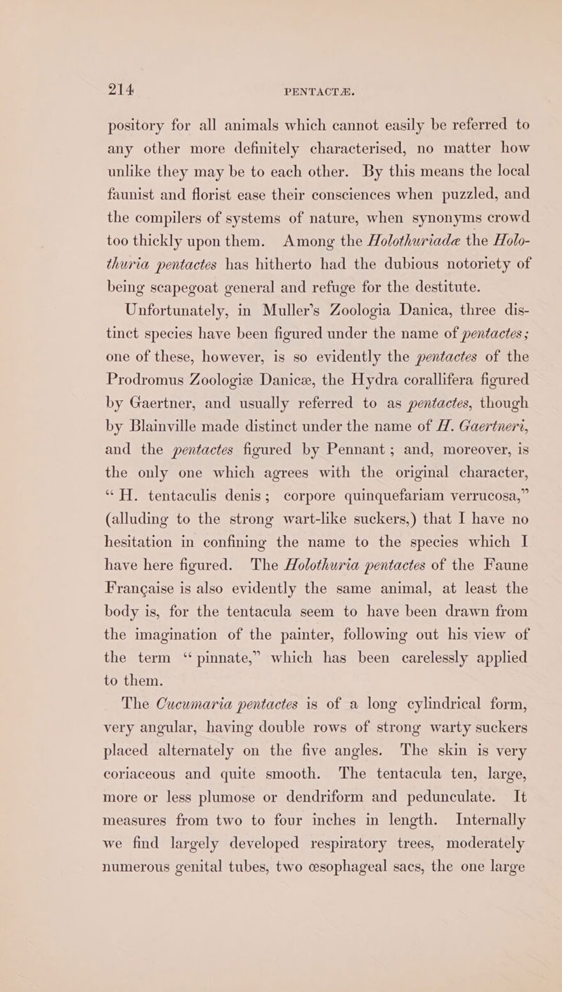 pository for all animals which cannot easily be referred to any other more definitely characterised, no matter how unlike they may be to each other. By this means the local faunist and florist ease their consciences when puzzled, and the compilers of systems of nature, when synonyms crowd too thickly upon them. Among the Holothuriade the Holo- thuria pentactes has hitherto had the dubious notoriety of being scapegoat general and refuge for the destitute. Unfortunately, in Muller’s Zoologia Danica, three dis- tinct species have been figured under the name of pentactes ; one of these, however, is so evidently the pentactes of the Prodromus Zoologiz Danice, the Hydra corallifera figured by Gaertner, and usually referred to as pentactes, though by Blainville made distinct under the name of H. Gaertner, and the pentactes figured by Pennant; and, moreover, is the only one which agrees with the original character, “Hf. tentaculis denis; corpore quinquefariam verrucosa,” (alluding to the strong wart-like suckers,) that I have no hesitation in confining the name to the species which I have here figured. The Holothuria pentactes of the Faune Frangaise is also evidently the same animal, at least the body is, for the tentacula seem to have been drawn from the imagination of the painter, following out his view of the term ‘ pinnate,” which has been carelessly applied to them. The Oucumaria pentactes is of a long cylindrical form, very angular, having double rows of strong warty suckers placed alternately on the five angles. The skin is very coriaceous and quite smooth. The tentacula ten, large, more or less plumose or dendriform and pedunculate. It measures from two to four inches in length. Internally we find largely developed respiratory trees, moderately numerous genital tubes, two cesophageal sacs, the one large