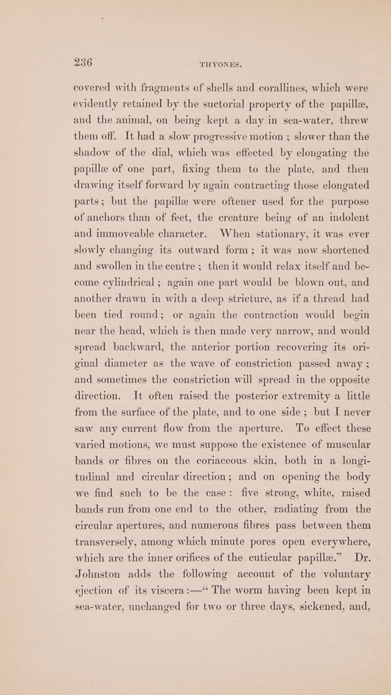 covered with fragments of shells and corallines, which were evidently retained by the suctorial property of the papille, and the animal, on being kept a day in sea-water, threw them off. It had a slow progressive motion ; slower than the shadow of the dial, which was effected by elongating the papille of one part, fixing them to the plate, and then drawing itself forward by again contracting those elongated parts; but the papille were oftener used for the purpose of anchors than of feet, the creature being of an indolent and immoveable character. When stationary, it was ever slowly changing its outward form; it was now shortened and swollen in the centre ; then it would relax itself and be- come cylindrical ; again one part would be blown out, and another drawn in with a deep stricture, as if a thread had been tied round; or again the contraction would begin near the head, which is then made very narrow, and would spread backward, the anterior portion recovering its ori- ginal diameter as the wave of constriction passed away ; and sometimes the constriction will spread in the opposite direction. It often raised the posterior extremity a little from the surface of the plate, and to one side; but I never saw any current flow from the aperture. To effect these varied motions, we must suppose the existence of muscular bands or fibres on the coriaceous skin, both in a longi- tudinal and circular direction; and on opening the body we find such to be the case: five strong, white, raised bands run from one end to the other, radiatmg from the circular apertures, and numerous fibres pass between them transversely, among which minute pores open everywhere, which are the inner orifices of the cuticular papille.” Dr. Johnston adds the following account of the voluntary ejection of its viscera:—‘ The worm having been kept in sea-water, unchanged for two or three days, sickened, and,