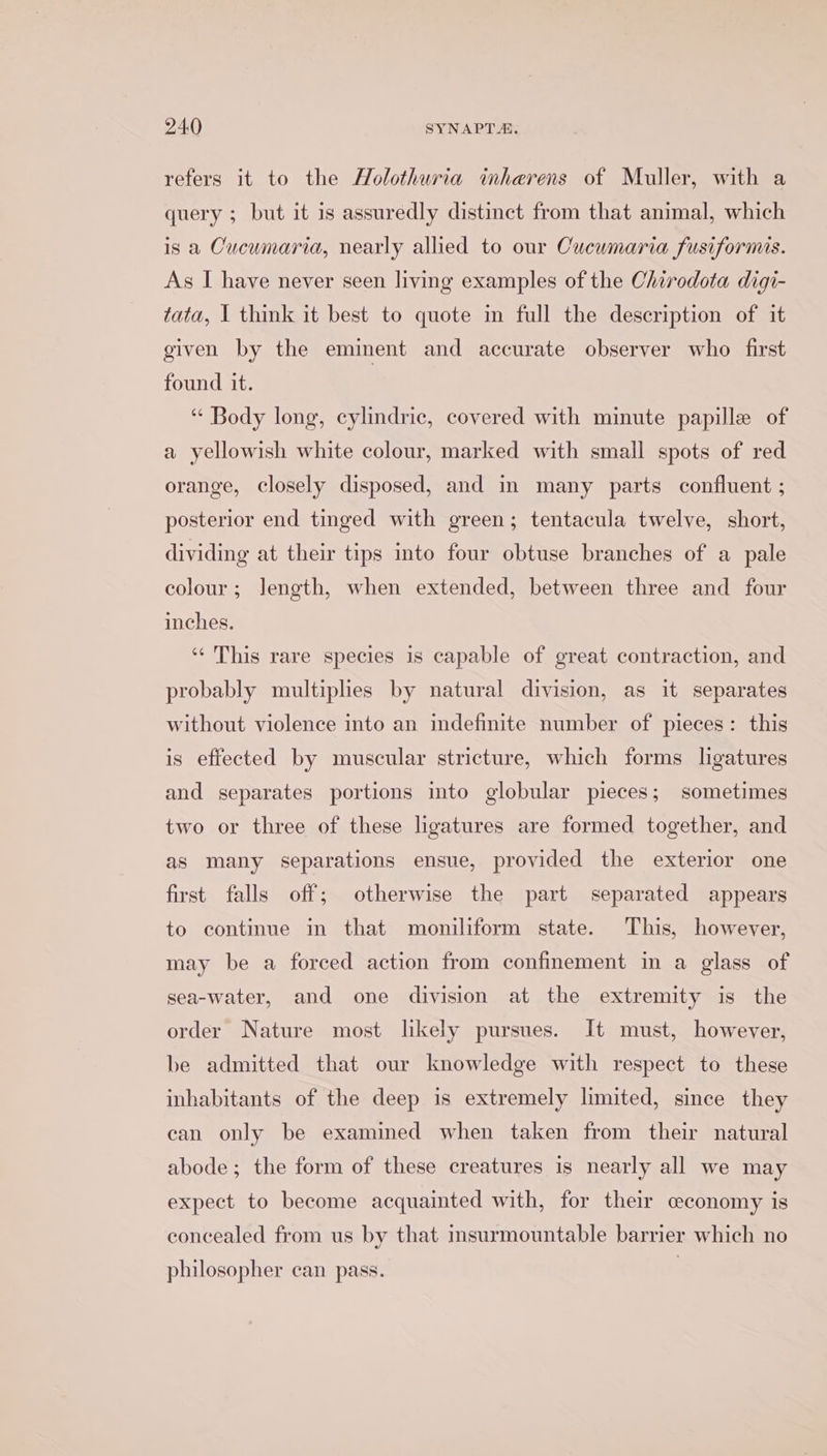 refers it to the Holothuria inharens of Muller, with a query ; but it is assuredly distinct from that animal, which is a Cucumaria, nearly allied to our Cucumaria fusiformis. As I have never seen living examples of the Chirodota digqi- tata, 1 think it best to quote in full the description of it given by the eminent and accurate observer who first found it. “ Body long, cylindric, covered with minute papille of a yellowish white colour, marked with small spots of red orange, closely disposed, and in many parts confluent ; posterior end tinged with green; tentacula twelve, short, dividing at their tips into four obtuse branches of a pale colour; length, when extended, between three and four inches. ‘“‘ This rare species is capable of great contraction, and probably multiplies by natural division, as it separates without violence into an indefinite number of pieces: this is effected by muscular stricture, which forms lgatures and separates portions into globular pieces; sometimes two or three of these ligatures are formed together, and as many separations ensue, provided the exterior one first falls off; otherwise the part separated appears to continue in that moniliform state. This, however, may be a forced action from confinement in a glass of sea-water, and one division at the extremity is the order Nature most likely pursues. It must, however, be admitted that our knowledge with respect to these inhabitants of the deep is extremely limited, since they can only be examined when taken from their natural abode; the form of these creatures is nearly all we may expect to become acquainted with, for their ceconomy is concealed from us by that msurmountable barrier which no philosopher can pass.