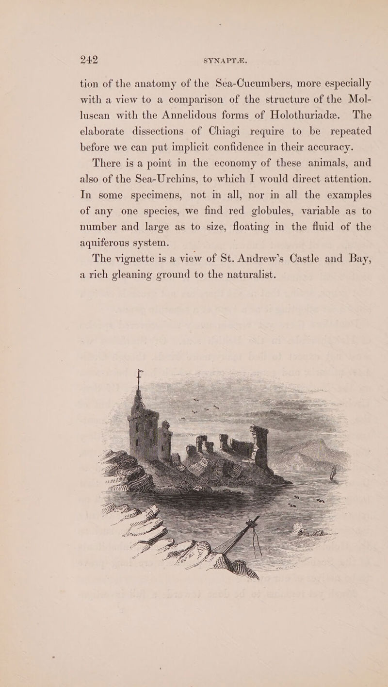 2492 SYNAPTA. tion of the anatomy of the Sea-Cucumbers, more especially with a view to a comparison of the structure of the Mol- lusean with the Annelidous forms of Holothuriade. The elaborate dissections of Chiagi require to be repeated before we can put implicit confidence in their accuracy. There is a point in the economy of these animals, and also of the Sea-Urchins, to which I would direct attention. In some specimens, not in all, nor in all the examples of any one species, we find red globules, variable as to number and large as to size, floating in the fluid of the aquiferous system. The vignette is a view of St. Andrew’s Castle and Bay, a rich gleaning ground to the naturalist.