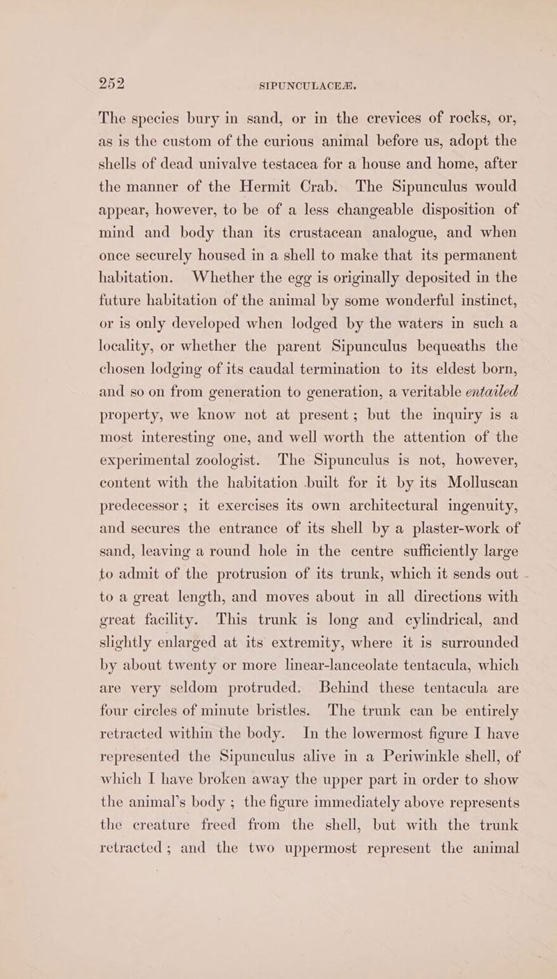 The species bury in sand, or in the crevices of rocks, or, as is the custom of the curious animal before us, adopt the shells of dead univalve testacea for a house and home, after the manner of the Hermit Crab. The Sipunculus would appear, however, to be of a less changeable disposition of mind and body than its crustacean analogue, and when once securely housed in a shell to make that its permanent habitation. Whether the egg is originally deposited in the future habitation of the animal by some wonderful instinct, or is only developed when lodged by the waters in such a locality, or whether the parent Sipunculus bequeaths the chosen lodging of its caudal termination to its eldest born, and so on from generation to generation, a veritable entailed property, we know not at present; but the imquiry is a most interesting one, and well worth the attention of the experimental zoologist. The Sipunculus is not, however, content with the habitation built for it by its Molluscan predecessor ; it exercises its own architectural ingenuity, and secures the entrance of its shell by a plaster-work of sand, leaving a round hole in the centre sufficiently large to admit of the protrusion of its trunk, which it sends out - to a great length, and moves about in all directions with great facility. This trunk is long and cylindrical, and slightly enlarged at its extremity, where it is surrounded by about twenty or more linear-lanceolate tentacula, which are very seldom protruded. Behind these tentacula are four circles of minute bristles. The trunk can be entirely retracted within the body. In the lowermost figure I have represented the Sipunculus alive in a Periwinkle shell, of which I have broken away the upper part in order to show the animal’s body ; the figure immediately above represents the creature freed from the shell, but with the trunk retracted ; and the two uppermost represent the animal