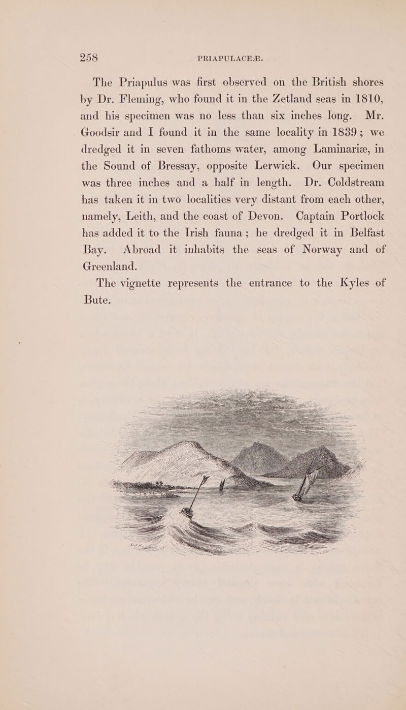 The Priapulus was first observed on the British shores by Dr. Fleming, who found it in the Zetland seas in 1810, and his specimen was no less than six inches long. Mr. Goodsir and I found it in the same locality in 1839; we dredged it in seven fathoms water, among Laminarie, in the Sound of Bressay, opposite Lerwick. Our specimen was three inches and a half in length. Dr. Coldstream has taken it in two localities very distant from each other, namely, Leith, and the coast of Devon. Captain Portlock has added it to the Irish fauna; he dredged it in Belfast Bay. Abroad it inhabits the seas of Norway and of Greenland. The vignette represents the entrance to the Kyles of Bute.