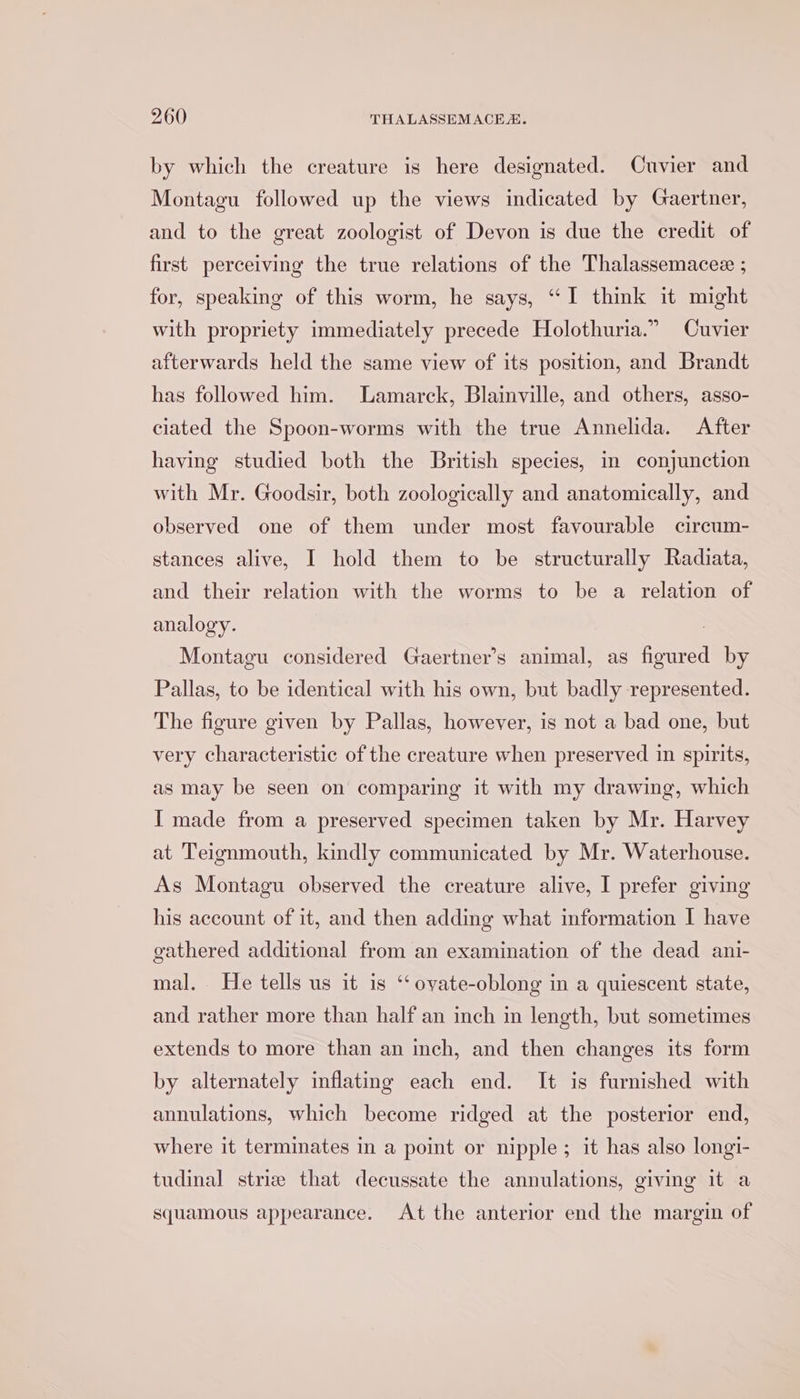 by which the creature is here designated. Cuvier and Montagu followed up the views indicated by Gaertner, and to the great zoologist of Devon is due the credit of first perceiving the true relations of the Thalassemacee ; for, speaking of this worm, he says, “I think it might with propriety immediately precede Holothuria.” Cuvier afterwards held the same view of its position, and Brandt has followed him. Lamarck, Blainville, and others, asso- ciated the Spoon-worms with the true Annelida. After having studied both the British species, in conjunction with Mr. Goodsir, both zoologically and anatomically, and observed one of them under most favourable circum- stances alive, I hold them to be structurally Radiata, and their relation with the worms to be a relation of analogy. Montagu considered Gaertner’s animal, as figured by Pallas, to be identical with his own, but badly represented. The figure given by Pallas, however, is not a bad one, but very characteristic of the creature when preserved in spirits, as may be seen on comparing it with my drawing, which I made from a preserved specimen taken by Mr. Harvey at Teignmouth, kindly communicated by Mr. Waterhouse. As Montagu observed the creature alive, I prefer giving his account of it, and then adding what information I have gathered additional from an examination of the dead ani- mal. He tells us it is ‘‘ ovate-oblong in a quiescent state, and rather more than half an inch in length, but sometimes extends to more than an inch, and then changes its form by alternately inflating each end. It is furnished with annulations, which become ridged at the posterior end, where it terminates in a point or nipple; it has also longi- tudinal striz that decussate the annulations, giving it a squamous appearance. At the anterior end the margin of