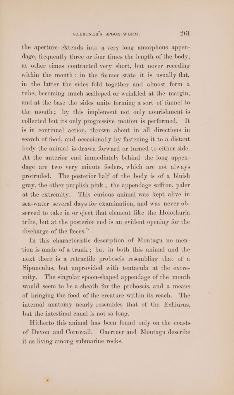 bs) 2 the aperture extends into a very long amorphous appen- dage, frequently three or four times the length of the body, at other times contracted very short, but never receding within the mouth: in the former state it is usually flat, in the latter the sides fold together and almost form a tube, becoming much scalloped or wrinkled at the margin, and at the base the sides unite forming a sort of funnel to the mouth; by this implement not only nourishment is collected but its only progressive motion is performed. It is in continual action, thrown about in all directions in search of food, and occasionally by fastening it to a distant body the animal is drawn forward or turned to either side. At the anterior end immediately behind the long appen- dage are two very minute feelers, which are not always protruded. The posterior half of the body is of a bluish gray, the other purplish pink ; the appendage saffron, paler at the extremity. This curious animal was kept alive in sea-water several days for examination, and was never ob- served to take in or eject that element like the Holothuria tribe, but at the posterior end is an evident opening for the discharge of the faeces.” In this characteristic description of Montagu no men- tion 1s made of a trunk ; but in both this animal and the next there is a retractile proboscis resembling that of a Sipunculus, but unprovided with tentacula at the extre- mity. The singular spoon-shaped appendage of the mouth would seem to be a sheath for the proboscis, and a means of bringing the food of the creature within its reach. The internal anatomy nearly resembles that of the Echiurus, but the intestinal canal is not so long. Hitherto this animal has been found only on the coasts of Devon and Cornwall. Gaertner and Montagu describe it as living among submarine rocks.