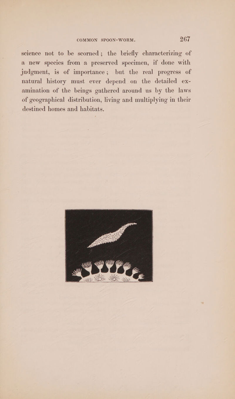 science not to be scorned; the briefly characterizing of a new species from a preserved specimen, if done with judgment, is of importance; but the real progress of natural history must ever depend on the detailed ex- amination of the beings gathered around us by the laws of geographical distribution, living and multiplying in their destmed homes and habitats.