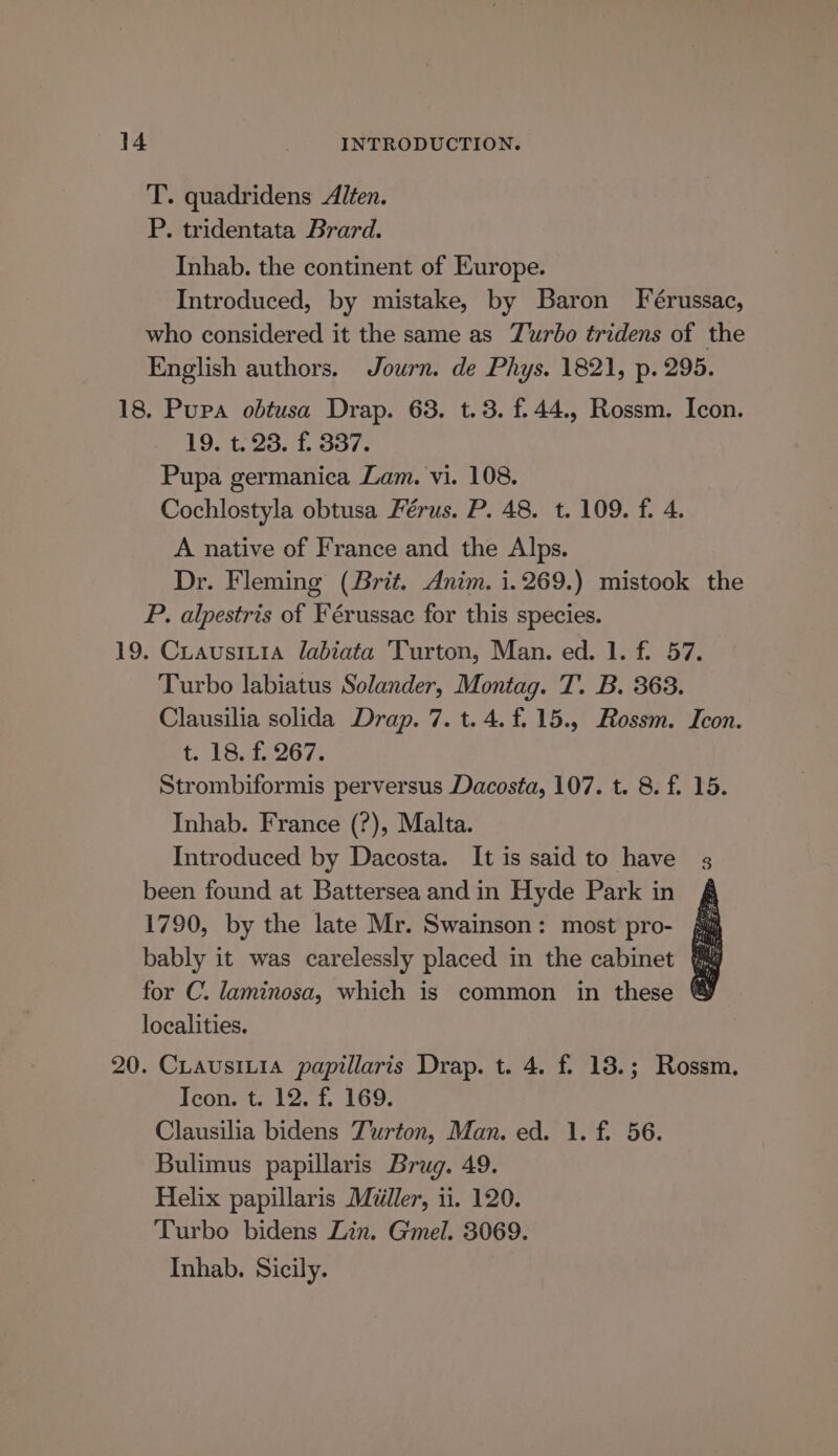 T. quadridens Alten. P. tridentata Brard. Inhab. the continent of Europe. Introduced, by mistake, by Baron Férussac, who considered it the same as Turbo tridens of the English authors. Journ. de Phys. 1821, p. 295. 18. Pura obtusa Drap. 63. t.3. f.44., Rossm. Icon. 19. t. 23. f. 337. Pupa germanica Lam. vi. 108. Cochlostyla obtusa Férus. P. 48. t. 109. fi 4. A native of France and the Alps. Dr. Fleming (Brit. Anim. i.269.) mistook the P. alpestris of Férussac for this species. 19. Cuausitia labiata Turton, Man. ed. 1. f. 57. Turbo labiatus Solander, Montag. T. B. 363. Clausilia solida Drap. 7. t.4.f.15., Rossm. Icon. teal e675 Strombiformis perversus Dacosta, 107. t. 8. f. 15. Inhab. France (?), Malta. Introduced by Dacosta. It is said to have been found at Battersea andin Hyde Park in £ 1790, by the late Mr. Swainson: most pro- jij bably it was carelessly placed in the cabinet @&amp; for C. laminosa, which is common in these localities. 20. CiausiLia papillaris Drap. t. 4. f. 18.; Rossm. Tcon. t. 12. f. 169. Clausilia bidens Turton, Man. ed. 1. f. 56. Bulimus papillaris Brug. 49. Helix papillaris Miller, ii. 120. Turbo bidens Lin. Gmel. 3069. Inhab. Sicily.