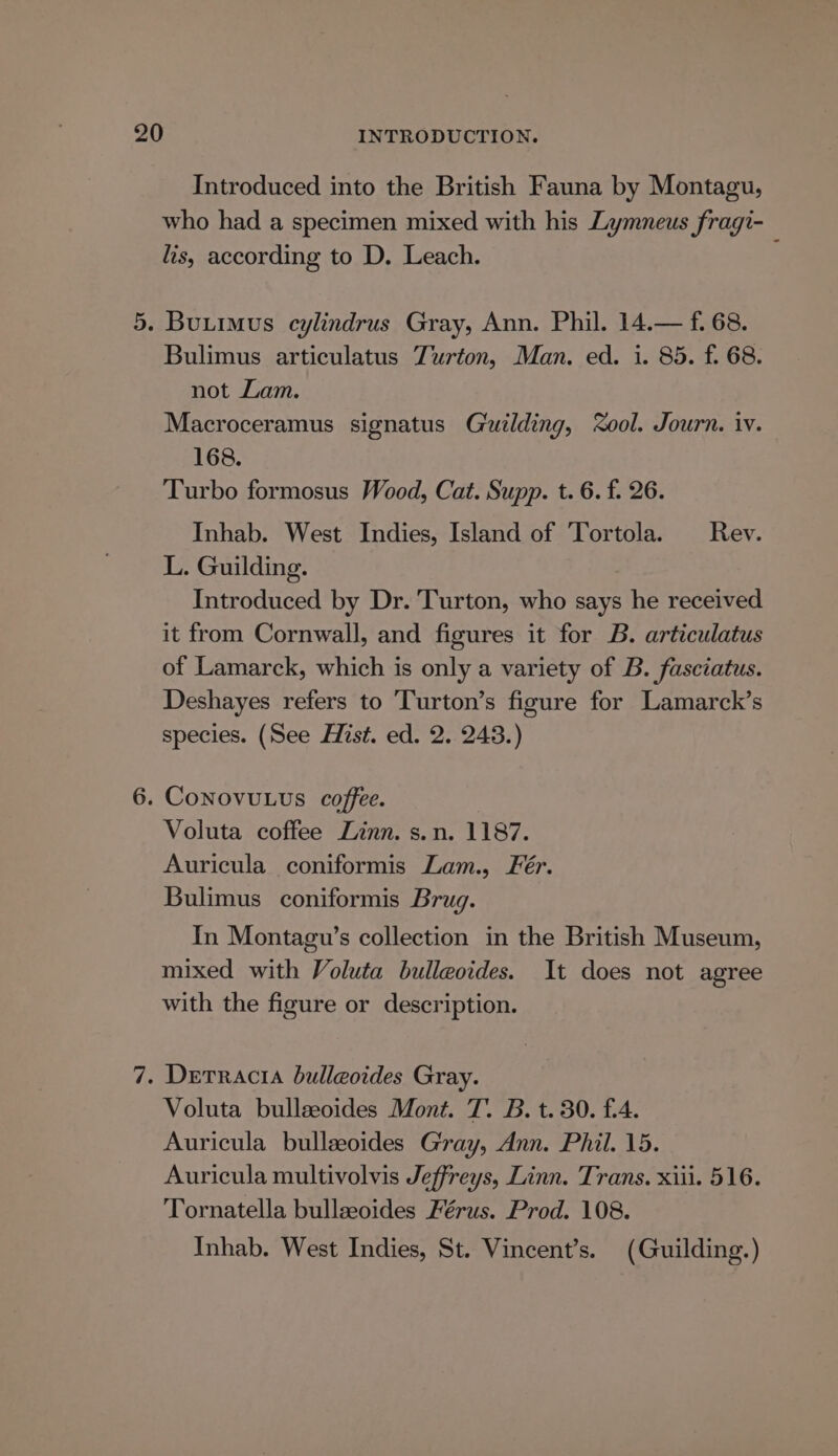 Introduced into the British Fauna by Montagu, who had a specimen mixed with his Lymneus fragi-_ lis, according to D. Leach. 5. Buutimus cylindrus Gray, Ann. Phil. 14.— f. 68. Bulimus articulatus Turton, Man. ed. i. 85. f. 68. not Lam. Macroceramus signatus Guilding, ool. Journ. iv. 168. Turbo formosus Wood, Cat. Supp. t. 6. f. 26. Inhab. West Indies, Island of Tortola. Rev. L. Guilding. Introduced by Dr. Turton, who says he received it from Cornwall, and figures it for B. articulatus of Lamarck, which is only a variety of B. fasciatus. Deshayes refers to ‘Turton’s figure for Lamarck’s species. (See Hist. ed. 2. 243.) 6. CONOVULUS coffee. Voluta coffee Linn. s.n. 1187. Auricula coniformis Lam., Fér. Bulimus coniformis Brug. In Montagu’s collection in the British Museum, mixed with Voluta bulleoides. It does not agree with the figure or description. 7. Derracta bulleoides Gray. Voluta bullzeoides Mont. 7. B. t. 30. £4. Auricula bulleoides Gray, Ann. Phil. 15. Auricula multivolvis Jeffreys, Linn. Trans. xiii. 516. Tornatella bullaoides Férus. Prod. 108. Inhab. West Indies, St. Vincent’s. (Guilding.)