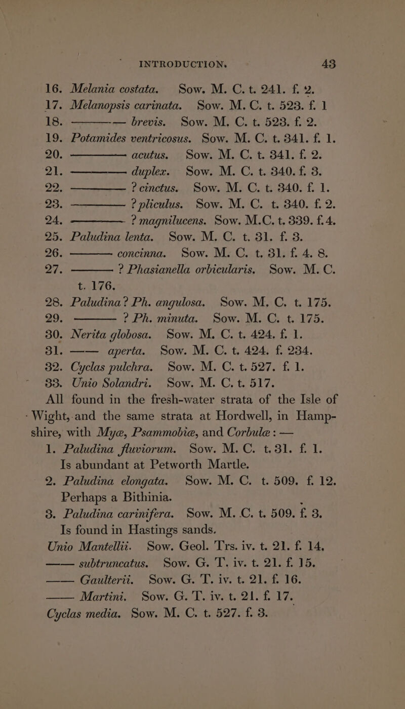 16. Melania costata. Sow. M. C.t. 241. f. ¥. 17. Melanopsis carinata. Sow. M.C. t. 523. f. 1 18. — brevis. Sow. M. C. t. 523. fi 2. 19. Potamides ventricosus. Sow. M. C. t. 341. fi 1. 20. ————— acutus. Sow. M. C. t. 341. fi 2. 21. ——_—-—— duplex. Sow. M. C. t. 340. f. 3. 22, ——_—__—- ? cinctus. Sow. M. C. t. 340. f. 1. 23. ————— ?pliculus. Sow. M. C. t. 340. f. 2. 24, —————. ? magnilucens. Sow. M.C. t. 339. f.4. 25. Paludina lenta. Sow. M. C. t. 31. f. 8. 26. concinna. Sow. M. C. t. 81. fi 4. 8. eye ? Phasianella orbicularis. Sow. M. C. t. 176. 28. Paludina? Ph. angulosa. Sow. M. C. t. 175. 29. ? Ph. minuta. Sow. M. C. t. 175. 30. Nerita globosa. Sow. M. C. t. 424, f 1. 31. —— aperta. Sow. M. C. t. 424. f. 234. 32. Cyclas pulchra. Sow. M. C. t. 527. f. 1. 88. Unio Solandri. Sow. M. C. t. 517. All found in the fresh-water strata of the Isle of -Wight,-and the same strata at Hordwell, in Hamp- shire, with Mye, Psammobie, and Corbule : — 1. Paludina fluviorum. Sow. M.C. t.31. fi 1. Is abundant at Petworth Martle. 2. Paludina elongata. Sow. M. C. t. 509. fi 12. Perhaps a Bithinia. : 8. Paludina carinifera. Sow. M. C. t. 509. f. 3. Is found in Hastings sands. Unio Mantellii. Sow. Geol. Trs. iv. t. 21. f. 14, —— subtruncatus. Sow. G. T. iv. t. 21. f. 15. —— Gaulterii. Sow. G. T. iv. t. 21. f. 16. Martini. Sow. G. T. iv. t. 21. £17. Cyclas media. Sow. M. C. t. 527. f. 3.