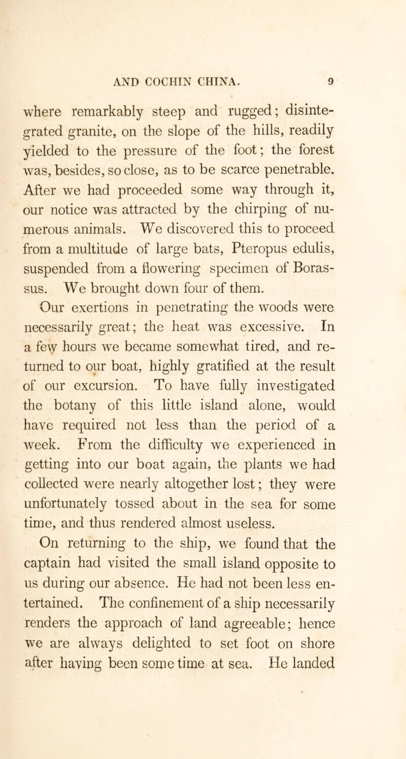 where remarkably steep and rugged; disinte- grated granite, on the slope of the hills, readily yielded to the pressure of the foot; the forest was, besides, so close, as to be scarce penetrable. After we had proceeded some way through it, our notice was attracted by the chirping of nu- merous animals. We discovered this to proceed from a multitude of large bats, Pteropus edulis, suspended from a flowering specimen of Boras- sus. We brought down four of them. Our exertions in penetrating the woods were necessarily great; the heat was excessive. In a few hours we became somewhat tired, and re- turned to our boat, highly gratified at the result of our excursion. To have fully investigated the botany of this little island alone, would have required not less than the period of a week. From the difficulty we experienced in getting into our boat again, the plants we had collected were nearly altogether lost; they were unfortunately tossed about in the sea for some time, and thus rendered almost useless. On returning to the ship, we found that the captain had visited the small island opposite to us during our absence. He had not been less en- tertained. The confinement of a ship necessarily renders the approach of land agreeable; hence we are always delighted to set foot on shore after having been some time at sea. He landed