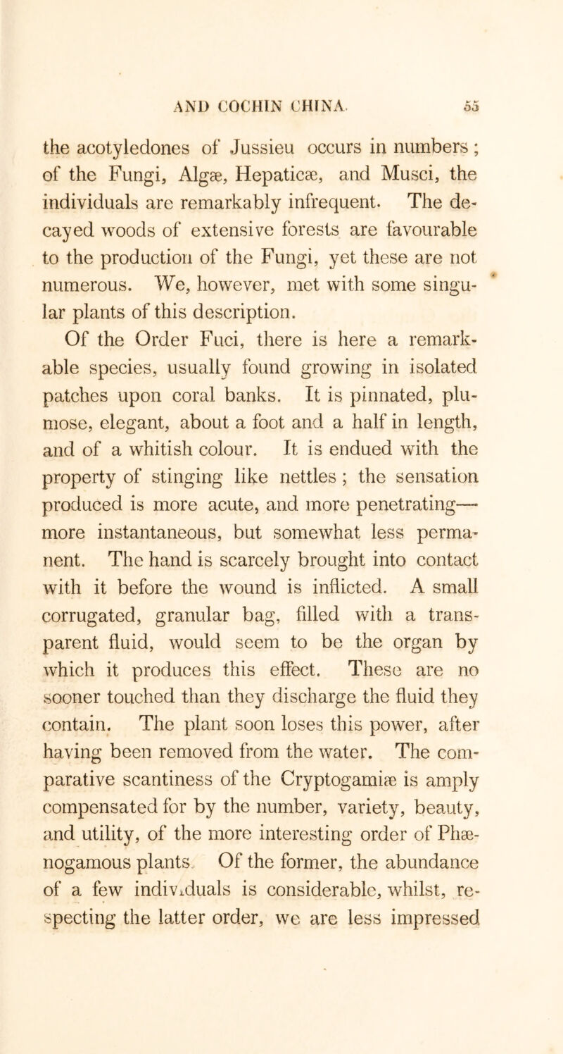 the acotyledones of Jussieu occurs in numbers; of the Fungi, Algae, Hepaticae, and Musci, the individuals are remarkably infrequent. The de- cayed woods of extensive forests are favourable to the production of the Fungi, yet these are not numerous. We, however, met with some singu- lar plants of this description. Of the Order Fuci, there is here a remark- able species, usually found growing in isolated paitches upon coral banks. It is pinnated, plu- mose, elegant, about a foot and a half in length, and of a whitish colour. It is endued with the property of stinging like nettles ; the sensation produced is more acute, and more penetrating- more instantaneous, but somewhat less perma- nent. The hand is scarcely brought into contact with it before the wound is inflicted. A small corrugated, granular bag, filled with a trans- parent fluid, would seem to be the organ by which it produces this effect. These are no sooner touched than they discharge the fluid they contain. The plant soon loses this power, after having been removed from the water. The com- parative scantiness of the Cryptogamiae is amply compensated for by the number, variety, beauty, and utility, of the more interesting order of Phse- nogamous plants Of the former, the abundance of a few individuals is considerable, whilst, re- specting the latter order, we are less impressed