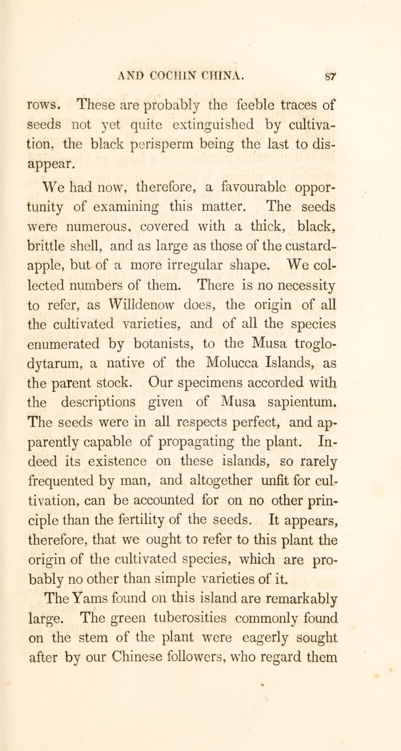 rows. These are probably the feeble traces of seeds not yet quite extinguished by cultiva- tion, the black perisperm being the last to dis- appear. We had now, therefore, a favourable oppor- tunity of examining this matter. The seeds were numerous, covered with a thick, black, brittle shell, and as large as those of the custard- apple, but of a more irregular shape. We col- lected numbers of them. There is no necessity to refer, as Willdenow does, the origin of all the cultivated varieties, and of all the species enumerated by botanists, to the Musa troglo- dytarum, a native of the Molucca Islands, as the parent stock. Our specimens accorded with the descriptions given of Musa sapientum. The seeds were in all respects perfect, and ap- parently capable of propagating the plant. In- deed its existence on these islands, so rarely frequented by man, and altogether unfit for cul- tivation, can be accounted for on no other prin- ciple than the fertility of the seeds. It appears, therefore, that we ought to refer to this plant the origin of the cultivated species, which are pro- bably no other than simple varieties of it. The Yams found on this island are remarkably large. The green tuberosities commonly found on the stem of the plant were eagerly sought after by our Chinese followers, who regard them