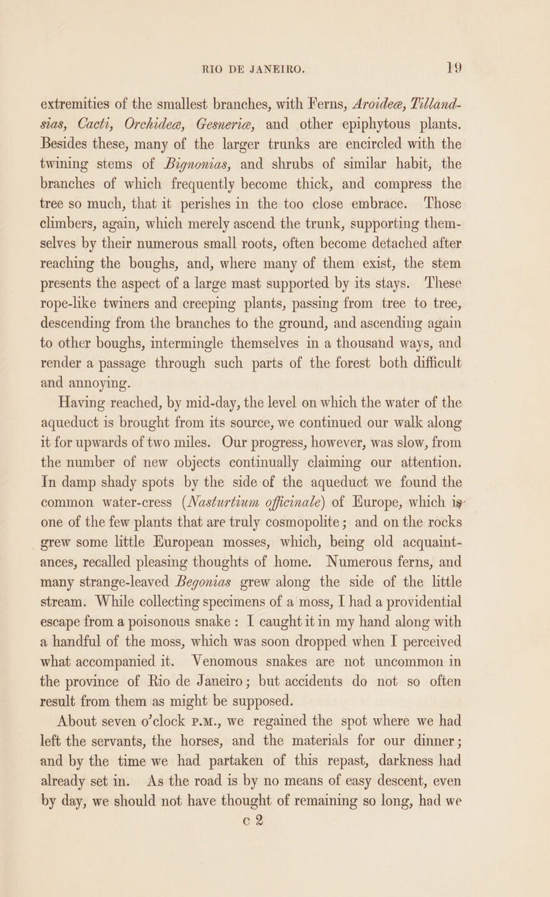 extremities of the smallest branches, with Ferns, Arozdee, Tilland- sias, Cacti, Orchidee, Gesnerie, and other epiphytous plants. Besides these, many of the larger trunks are encircled with the twining stems of Bignonias, and shrubs of similar habit, the branches of which frequently become thick, and compress the tree so much, that it perishes in the too close embrace. Those climbers, again, which merely ascend the trunk, supporting them- selves by their numerous small roots, often become detached after reaching the boughs, and, where many of them exist, the stem presents the aspect of a large mast supported by its stays. These rope-like twiners and creeping plants, passing from tree to tree, descending from the branches to the ground, and ascending again to other boughs, intermingle themselves in a thousand ways, and render a passage through such parts of the forest both difficult and annoying. Having reached, by mid-day, the level on which the water of the aqueduct is brought from its source, we continued our walk along it for upwards of two miles. Our progress, however, was slow, from the number of new objects continually claiming our attention. In damp shady spots by the side of the aqueduct we found the common water-cress (Nasturtwum officnale) of Kurope, which 19: one of the few plants that are truly cosmopolite ; and on the rocks grew some little European mosses, which, being old acquaint- ances, recalled pleasing thoughts of home. Numerous ferns, and many strange-leaved Begonias grew along the side of the little stream. While collecting specimens of a moss, [ had a providential escape from a poisonous snake: I caught itm my hand along with a handful of the moss, which was soon dropped when I perceived what accompanied it. Venomous snakes are not uncommon in the province of Rio de Janeiro; but accidents do not so often result from them as might be supposed. About seven o'clock p.m., we regained the spot where we had left the servants, the horses, and the materials for our dinner ; and by the time we had partaken of this repast, darkness had already set in. As the road is by no means of easy descent, even by day, we should not have thought of remaining so long, had we C2