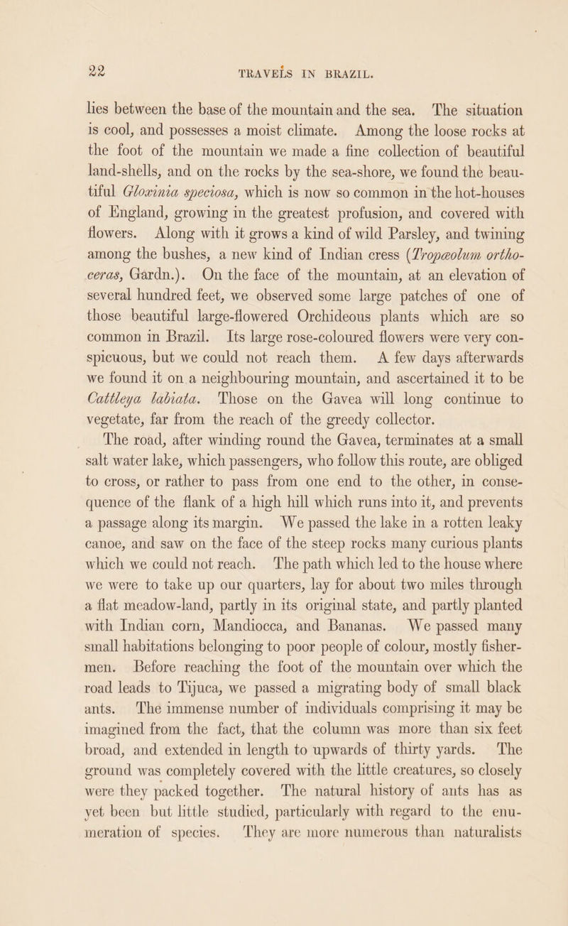 lies between the base of the mountain and the sea. The situation is cool, and possesses a moist climate. Among the loose rocks at the foot of the mountam we made a fine collection of beautiful land-shells, and on the rocks by the sea-shore, we found the beau- tiful Gloxinia speciosa, which is now so common in the hot-houses of England, growing in the greatest profusion, and covered with flowers. Along with it grows a kind of wild Parsley, and twining among the bushes, a new kind of Indian cress (Zropeolum ortho- ceras, Gardn.). On the face of the mountain, at an elevation of several hundred feet, we observed some large patches of one of those beautiful large-flowered Orchideous plants which are so common in Brazil. Its large rose-coloured flowers were very con- spicuous, but we could not reach them. A few days afterwards we found it on a neighbourimg mountain, and ascertained it to be Cattleya labiata. Those on the Gavea will long continue to vegetate, far from the reach of the greedy collector. _ The road, after winding round the Gavea, terminates at a small salt water lake, which passengers, who follow this route, are obliged to cross, or rather to pass from one end to the other, in conse- quence of the flank of a high hill which runs into it, and prevents a passage along itsmargin. We passed the lake in a rotten leaky canoe, and saw on the face of the steep rocks many curious plants which we could not reach. The path which led to the house where we were to take up our quarters, lay for about two miles through a flat meadow-land, partly in its original state, and partly planted with Indian corn, Mandiocea, and Bananas. We passed many small! habitations belonging to poor people of colour, mostly fisher- men. Before reaching the foot of the mountain over which the road leads to Tijuca, we passed a migrating body of small black ants. The immense number of individuals comprising it may be imagined from the fact, that the column was more than six feet broad, and extended in length to upwards of thirty yards. The ground was completely covered with the little creatures, so closely were they packed together. The natural history of ants has as yet been but little studied, particularly with regard to the enu- meration of species. ‘They are more numerous than naturalists