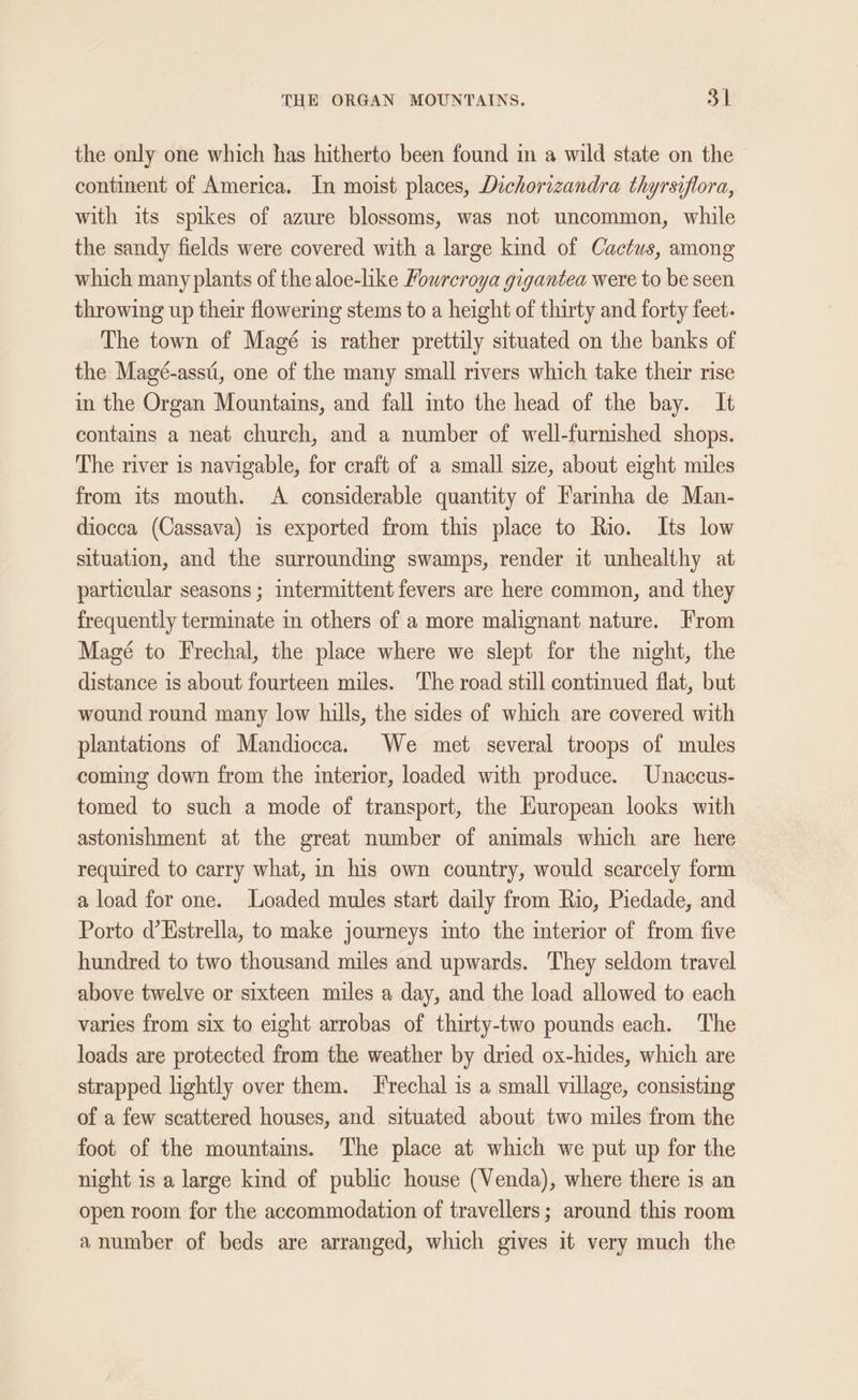 the only one which has hitherto been found in a wild state on the continent of America. In moist places, Dichorizandra thyrsiflora, with its spikes of azure blossoms, was not uncommon, while the sandy fields were covered with a large kind of Cactus, among which many plants of the aloe-like Fouwrcroya gigantea were to be seen throwing up their flowering stems to a height of thirty and forty feet. The town of Magé is rather prettily situated on the banks of the Magé-assti, one of the many small rivers which take their rise in the Organ Mountains, and fall into the head of the bay. It contains a neat church, and a number of well-furnished shops. The river is navigable, for craft of a small size, about eight miles from its mouth. A considerable quantity of Farinha de Man- diocca (Cassava) is exported from this place to Rio. Its low situation, and the surrounding swamps, render it unhealthy at particular seasons; intermittent fevers are here common, and they frequently terminate in others of a more malignant nature. From Magé to Frechal, the place where we slept for the night, the distance is about fourteen miles. The road still continued flat, but wound round many low hills, the sides of which are covered with plantations of Mandiocca. We met several troops of mules coming down from the interior, loaded with produce. Unaccus- tomed to such a mode of transport, the European looks with astonishment at the great number of animals which are here required to carry what, in his own country, would scarcely form a load for one. Loaded mules start daily from Rio, Piedade, and Porto d’Kstrella, to make journeys into the interior of from five hundred to two thousand miles and upwards. They seldom travel above twelve or sixteen miles a day, and the load allowed to each varies from six to eight arrobas of thirty-two pounds each. The loads are protected from the weather by dried ox-hides, which are strapped lightly over them. F'rechal is a small village, consisting of a few scattered houses, and situated about two miles from the foot of the mountains. The place at which we put up for the night is a large kind of public house (Venda), where there is an open room for the accommodation of travellers; around this room a number of beds are arranged, which gives it very much the