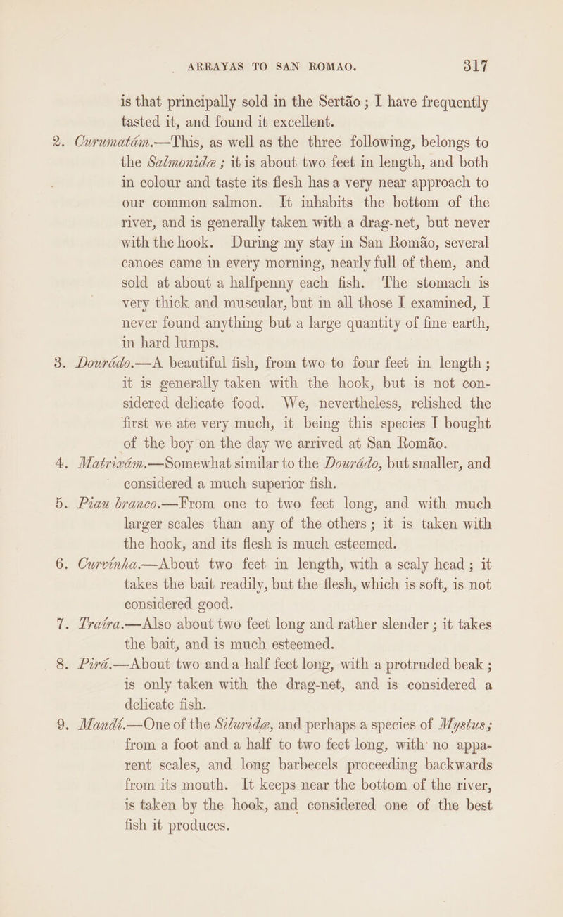 is that principally sold in the Sertao ; I have frequently tasted it, and found it excellent. 2. Curumatam.—This, as well as the three following, belongs to the Salmonide ; it is about two feet in length, and both in colour and taste its flesh has a very near approach to our common salmon. It inhabits the bottom of the river, and is generally taken with a drag-net, but never with the hook. During my stay im San Romao, several canoes came In every morning, nearly full of them, and sold at about a halfpenny each fish. The stomach is very thick and muscular, but in all those I examined, I never found anything but a large quantity of fine earth, in hard lumps. 3. Dourado.—A. beautiful fish, from two to four feet in length ; it is generally taken with the hook, but is not con- sidered delicate food. We, nevertheless, relished the first we ate very much, it being this species I bought of the boy on the day we arrived at San Romfo. 4. Matrixam.—Somewhat similar to the Dourddo, but smaller, and considered a much superior fish. 5. Prau branco.—From one to two feet long, and with much larger scales than any of the others; it is taken with the hook, and its flesh is much esteemed. 6. Curvinha.—About two feet m length, with a scaly head ; it takes the bait readily, but the flesh, which is soft, is not considered good. 7. Tratra.—Also about two feet long and rather slender ; it takes the bait, and is much esteemed. 8. Piré.—About two anda half feet long, with a protruded beak ; is only taken with the drag-net, and is considered a delicate fish. 9. Mandé.—One of the Scdurida, and perhaps a species of Mystus ; from a foot and a half to two feet long, with no appa- rent scales, and long barbecels proceeding backwards from its mouth. It keeps near the bottom of the river, is taken by the hook, and considered one of the best fish 1 produces.