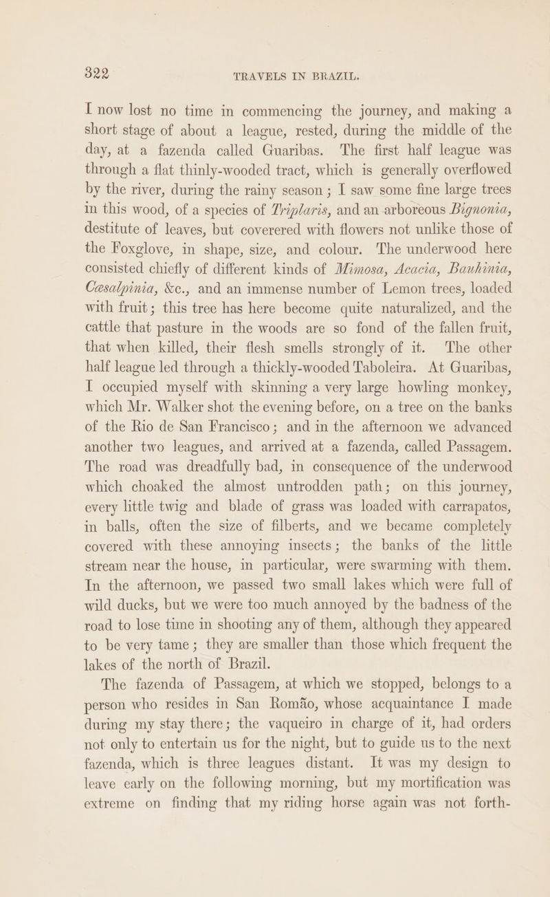 I now lost no time in commencing the journey, and making a short stage of about a league, rested, during the middle of the day, at a fazenda called Guaribas. The first half league was through a flat thinly-wooded tract, which is generally overflowed by the river, during the rainy season ; I saw some fine large trees in this wood, of a species of 7riplaris, and an arboreous Bignonia, destitute of leaves, but coverered with flowers not unlike those of the Foxglove, in shape, size, and colour. The underwood here consisted chiefly of different kinds of Mimosa, Acacia, Bauhinia, Casalpinia, &amp;c., and an immense number of Lemon trees, loaded with fruit; this tree has here become quite naturalized, and the cattle that pasture in the woods are so fond of the fallen fruit, that when killed, their flesh smells strongly of it. The other half league led through a thickly-wooded Taboleira. At Guaribas, I occupied myself with skinning a very large howling monkey, which Mr. Walker shot the evening before, on a tree on the banks of the Rio de San Francisco; and in the afternoon we advanced another two leagues, and arrived at a fazenda, called Passagem. The road was dreadfully bad, in consequence of the underwood which choaked the almost untrodden path; on this journey, every little twig and blade of grass was loaded with carrapatos, in balls, often the size of filberts, and we became completely covered with these annoying insects; the banks of the little stream near the house, in particular, were swarming with them. In the afternoon, we passed two small lakes which were full of wild ducks, but we were too much annoyed by the badness of the road to lose time in shooting any of them, although they appeared to be very tame; they are smaller than those which frequent the lakes of the north of Brazil. The fazenda of Passagem, at which we stopped, belongs to a person who resides in San Romao, whose acquaintance I made during my stay there; the vaqueiro in charge of it, had orders not only to entertain us for the night, but to guide us to the next fazenda, which is three leagues distant. It was my design to leave early on the following morning, but my mortification was extreme on finding that my riding horse again was not forth-