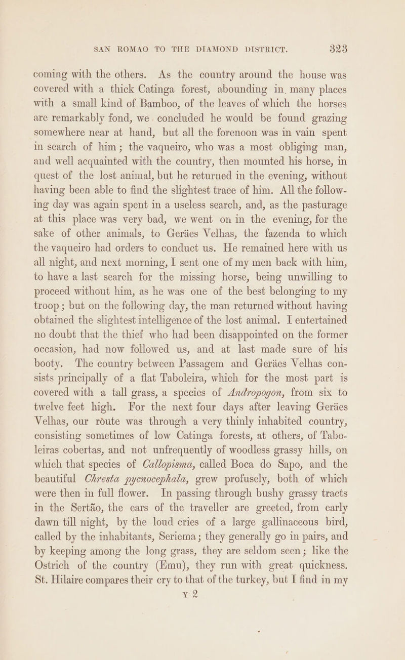 coming with the others. As the country around the house was covered with a thick Catinga forest, abounding in. many places with a small kind of Bamboo, of the leaves of which the horses are remarkably fond, we concluded he would be found grazing somewhere near at hand, but all the forenoon was in vain spent in search of him; the vaqueiro, who was a most obliging man, and well acquainted with the country, then mounted his horse, in quest of the lost animal, but he returned in the evening, without having been able to find the slightest trace of him. All the follow- ing day was again spent in a useless search, and, as the pasturage at this place was very bad, we went on in the evening, for the sake of other animals, to Geriies Velhas, the fazenda to which the vaqueiro had orders to conduct us. He remained here with us all night, and next morning, I sent one of my men back with him, to have a last search for the missing horse, being unwilling to proceed without him, as he was one of the best belonging to my troop ; but on the following day, the man returned without having obtained the slightest intelligence of the lost animal. I entertained no doubt that the thief who had been disappointed on the former occasion, had now followed us, and at last made sure of his booty. The country between Passagem and Geriies Velhas con- sists principally of a flat Taboleira, which for the most part is covered with a tall grass, a species of Andropogon, from six to twelve feet high. For the next four days after leaving Geriies Velhas, our route was through a very thinly inhabited country, consisting sometimes of low Catinga forests, at others, of Tabo- leiras cobertas, and not unfrequently of woodless grassy hills, on which that species of Cadlopisma, called Boca do Sapo, and the beautiful Chresta pycnocephala, grew profusely, both of which were then in full flower. In passing through bushy grassy tracts in the Sertéo, the ears of the traveller are greeted, from early dawn till night, by the loud cries of a large gallinaceous bird, called by the inhabitants, Seriema; they generally go in pairs, and by keeping among the long grass, they are seldom seen; like the Ostrich of the country (Hmu), they run with great quickness. St. Hilaire compares their cry to that of the turkey, but I find in my