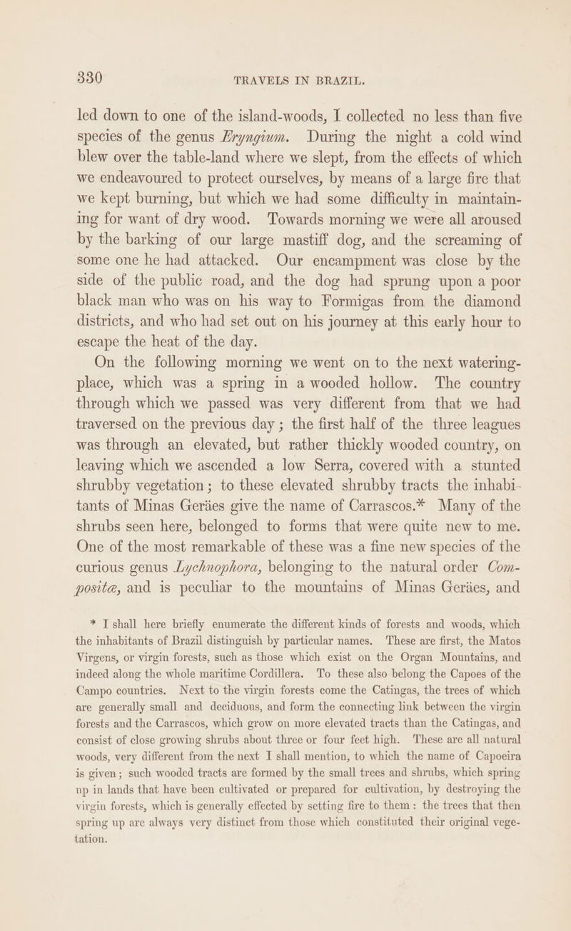 led down to one of the island-woods, I collected no less than five species of the genus Eryngium. During the night a cold wind blew over the table-land where we slept, from the effects of which we endeavoured to protect ourselves, by means of a large fire that we kept burning, but which we had some difficulty in maintain- ing for want of dry wood. Towards morning we were all aroused by the barking of our large mastiff dog, and the screaming of some one he had attacked. Our encampment was close by the side of the public road, and the dog had sprung upon a poor black man who was on his way to Formigas from the diamond districts, and who had set out on his journey at this early hour to escape the heat of the day. On the followmg morning we went on to the next watering- place, which was a spring in a wooded hollow. The country through which we passed was very different from that we had traversed on the previous day ; the first half of the three leagues was through an elevated, but rather thickly wooded country, on leaving which we ascended a low Serra, covered with a stunted shrubby vegetation ; to these elevated shrubby tracts the mhabt- tants of Minas Geriies give the name of Carrascos.* Many of the shrubs seen here, belonged to forms that were quite new to me. One of the most remarkable of these was a fine new species of the curious genus Lychnophora, belonging to the natural order Com- posite, and is peculiar to the mountains of Minas Geries, and * T shall here briefly enumerate the different kinds of forests and woods, which the inhabitants of Brazil distinguish by particular names. These are first, the Matos Virgens, or virgin forests, such as those which exist on the Organ Mountains, and indeed along the whole maritime Cordillera. To these also belong the Capoes of the Campo countries. Next to the virgin forests come the Catingas, the trees of which are generally small and deciduous, and form the connecting link between the virgin forests and the Carrascos, which grow on more elevated tracts than the Catingas, and consist of close growing shrubs about three or four feet high. These are all natural woods, very different from the next I shall mention, to which the name of Capoeira is given; such wooded tracts are formed by the small trees and shrubs, which spring np in lands that have been cultivated or prepared for cultivation, by destroying the virgin forests, which is generally effected by setting fire to them: the trees that then spring up are always very distinct from those which constituted their original vege- tation.