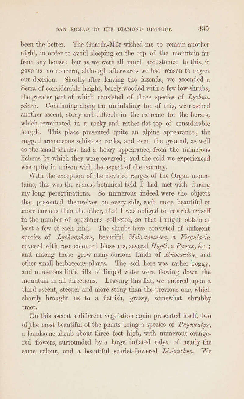 been the better. The Guarda-Mér wished me to remain another night, in order to avoid sleeping on the top of the mountain far from any house; but as we were all much accustomed to this, it gave us no concern, although afterwards we had reason to regret our decision. Shortly after leaving the fazenda, we ascended a Serra of considerable height, barely wooded with a few low shrubs, the greater part of which consisted of three species of Lychno- phora. Continuing along the undulating top of this, we reached another ascent, stony and difficult in the extreme for the horses, which terminated in a rocky and rather flat top of considerable length. This place presented quite an alpine appearance; the rugged arenaceous schistose rocks, and even the ground, as well as the small shrubs, had a hoary appearance, from the numerous lichens by which they were covered ; and the cold we experienced was quite in unison with the aspect of the country. With the exception of the elevated ranges of the Organ moun- tains, this was the richest botanical field I had met with during my long peregrinations. So numerous indeed were the objects that presented themselves on every side, each more beautiful or more curious than the other, that I was obliged to restrict myself in the number of specimens collected, so that I might obtain at least a few of each kind. ‘The shrubs here consisted of different species of Lychnophora, beautiful Melastomacea, a1 Virgularia covered with rose-coloured blossoms, several [Hypti, a Panax, &amp;c. ; and among these grew many curious kinds of Lriocaulon, and other small herbaceous plants. The soil here was rather boggy, and numerous little rills of limpid water were flowing down the mountain in all directions. Leaving this flat, we entered upon a third ascent, steeper and more stony than the previous one, which shortly brought us to a flattish, grassy, somewhat shrubby tract. On this ascent a different vegetation again presented itself, two of the most beautiful of the plants being a species of Physocalyx, a handsome shrub about three feet high, with numerous orange- red flowers, surrounded by a large mflated calyx of nearly the same colour, and a beautiful scarlet-flowered Lasianthus. We