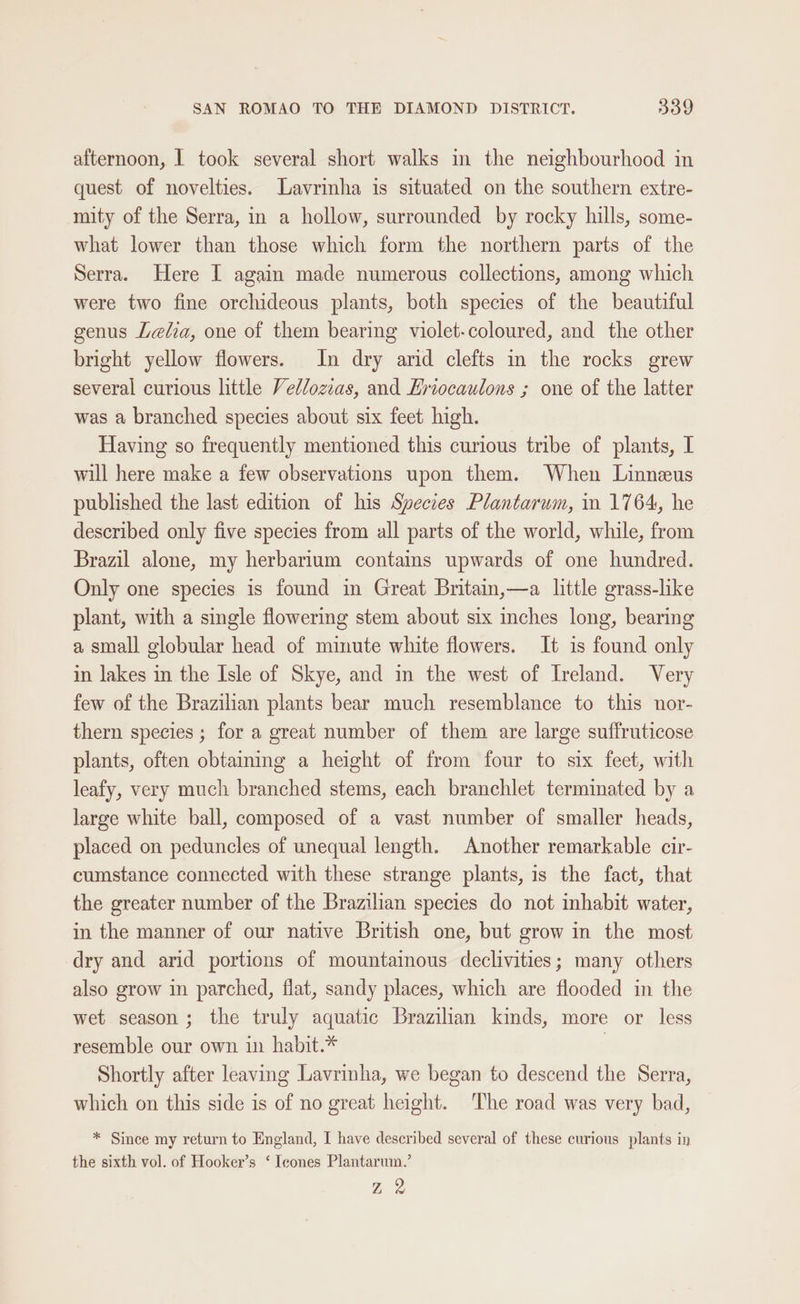 afternoon, | took several short walks in the neighbourhood in quest of novelties. Lavrinha is situated on the southern extre- mity of the Serra, in a hollow, surrounded by rocky hills, some- what lower than those which form the northern parts of the Serra. Here I again made numerous collections, among which were two fine orchideous plants, both species of the beautiful genus Lelia, one of them bearing violet-coloured, and the other bright yellow flowers. In dry arid clefts in the rocks grew several curious little Vellozias, and Eyiocaulons ; one of the latter was a branched species about six feet high. Having so frequently mentioned this curious tribe of plants, I will here make a few observations upon them. When Linneus published the last edition of his Species Plantarum, in 1764, he described only five species from all parts of the world, while, from Brazil alone, my herbarium contains upwards of one hundred. Only one species is found in Great Britam,—a little grass-like plant, with a single flowering stem about six inches long, bearing a small globular head of minute white flowers. It is found only in lakes in the Isle of Skye, and in the west of Ireland. Very few of the Brazilian plants bear much resemblance to this nor- thern species; for a great number of them are large suffruticose plants, often obtaining a height of from four to six feet, with leafy, very much branched stems, each branchlet terminated by a large white ball, composed of a vast number of smaller heads, placed on peduncles of unequal length. Another remarkable cir- cumstance connected with these strange plants, is the fact, that the greater number of the Brazilian species do not inhabit water, in the manner of our native British one, but grow in the most dry and arid portions of mountainous declivities; many others also grow in parched, flat, sandy places, which are flooded in the wet season; the truly aquatic Brazilian kinds, more or less resemble our own in habit.* | Shortly after leaving Lavrinha, we began to descend the Serra, which on this side is of no great height. The road was very bad, * Since my return to England, I have described several of these curious plants in the sixth vol. of Hooker’s ‘ Ieones Plantarum.’ Z 2