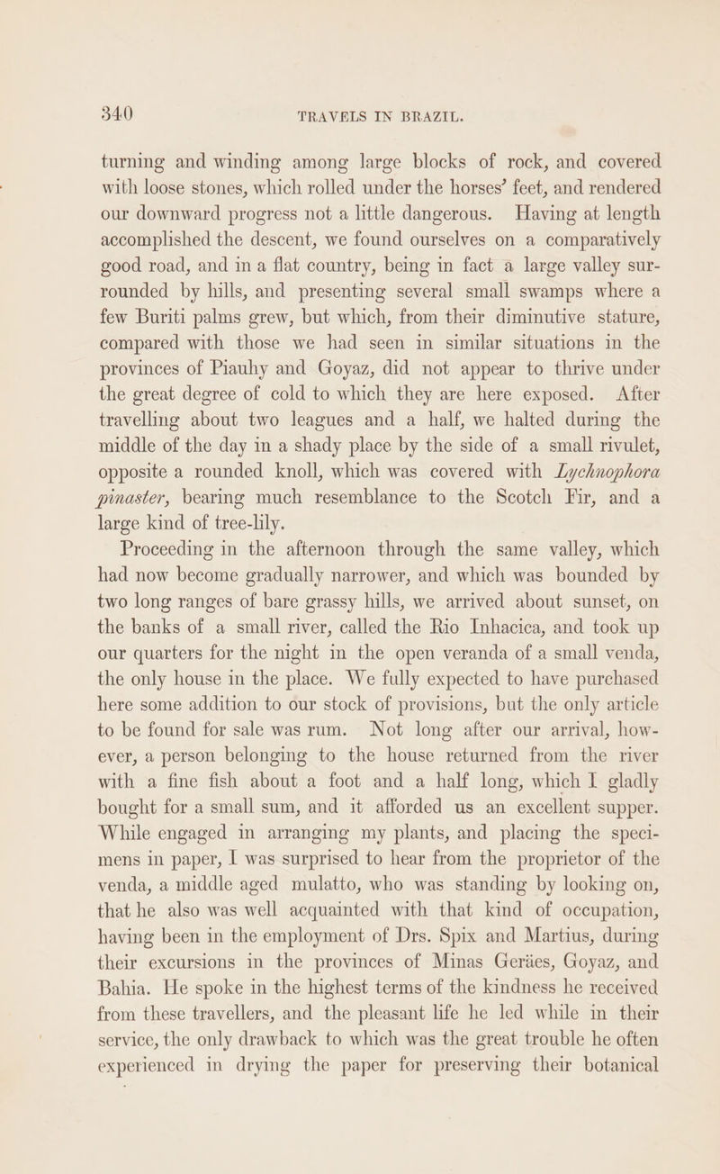 turning and winding among large blocks of rock, and covered with loose stones, which rolled under the horses’ feet, and rendered our downward progress not a little dangerous. Having at length accomplished the descent, we found ourselves on a comparatively good road, and in a flat country, being in fact a large valley sur- rounded by hills, and presenting several small swamps where a few Buriti palms grew, but which, from their dimmutive stature, compared with those we had seen in similar situations in the provinces of Piauhy and Goyaz, did not appear to thrive under the great degree of cold to which they are here exposed. After travelling about two leagues and a half, we halted during the middle of the day in a shady place by the side of a small rivulet, opposite a rounded knoll, which was covered with Lychnophora pinaster, bearing much resemblance to the Scotch Fir, and a large kind of tree-lily. Proceeding in the afternoon through the same valley, which had now become gradually narrower, and which was bounded by two long ranges of bare grassy hills, we arrived about sunset, on the banks of a small river, called the Rio Inhacica, and took up our quarters for the night in the open veranda of a small venda, the only house in the place. We fully expected to have purchased here some addition to our stock of provisions, but the only article to be found for sale was rum. Not long after our arrival, how- ever, a person belonging to the house returned from the river with a fine fish about a foot and a half long, which I gladly bought for a small sum, and it afforded us an excellent supper. While engaged in arranging my plants, and placing the speci- mens in paper, | was surprised to hear from the proprietor of the venda, a middle aged mulatto, who was standing by looking on, that he also was well acquainted with that kind of occupation, having been in the employment of Drs. Spix and Martius, during their excursions in the provinces of Minas Geriies, Goyaz, and Bahia. He spoke in the highest terms of the kindness he received from these travellers, and the pleasant life he led while in their service, the only drawback to which was the great trouble he often experienced in drying the paper for preserving their botanical
