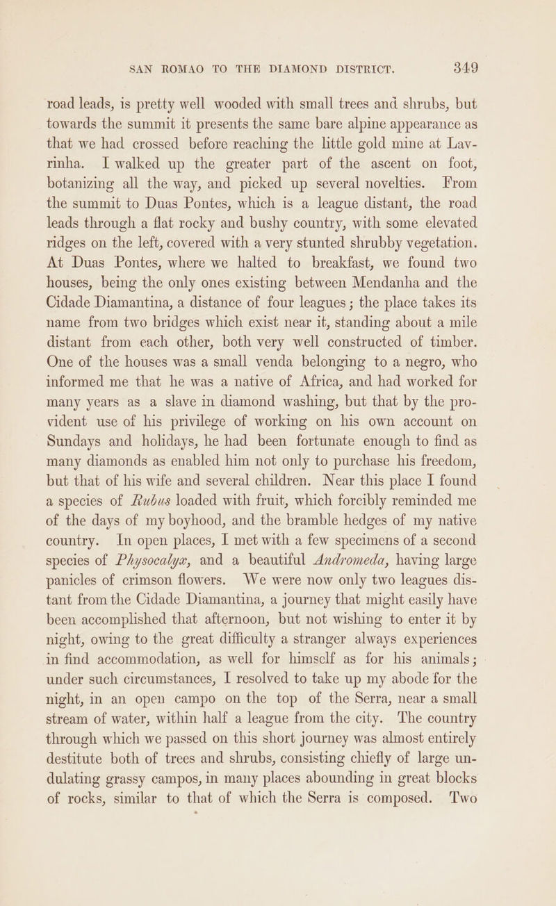 road leads, is pretty well wooded with small trees and shrubs, but towards the summit it presents the same bare alpine appearance as that we had crossed before reaching the little gold mine at Lav- rinha. I walked up the greater part of the ascent on foot, botanizing all the way, and picked up several novelties. From the summit to Duas Pontes, which is a league distant, the road leads through a flat rocky and bushy country, with some elevated ridges on the left, covered with a very stunted shrubby vegetation. At Duas Pontes, where we halted to breakfast, we found two houses, being the only ones existing between Mendanha and the Cidade Diamantina, a distance of four leagues; the place takes its name from two bridges which exist near it, standing about a mile distant from each other, both very well constructed of timber. One of the houses was a small venda belonging to a negro, who informed me that he was a native of Africa, and had worked for many years as a slave in diamond washing, but that by the pro- vident use of his privilege of working on his own account on Sundays and holidays, he had been fortunate enough to find as many diamonds as enabled him not only to purchase his freedom, but that of his wife and several children. Near this place I found a species of Rudus loaded with fruit, which forcibly reminded me of the days of my boyhood, and the bramble hedges of my native country. In open places, I met with a few specimens of a second species of Physocalyx, and a beautiful Andromeda, having large panicles of crimson flowers. We were now only two leagues dis- tant from the Cidade Diamantina, a journey that might easily have been accomplished that afternoon, but not wishing to enter it by night, owing to the great difficulty a stranger always experiences in find accommodation, as well for himsclf as for his animals; under such circumstances, I resolved to take up my abode for the night, in an open campo on the top of the Serra, near a small stream of water, within half a league from the city. The country through which we passed on this short journey was almost entirely destitute both of trees and shrubs, consisting chiefly of large un- dulating grassy campos, in many places abounding in great blocks of rocks, similar to that of which the Serra is composed. ‘Two