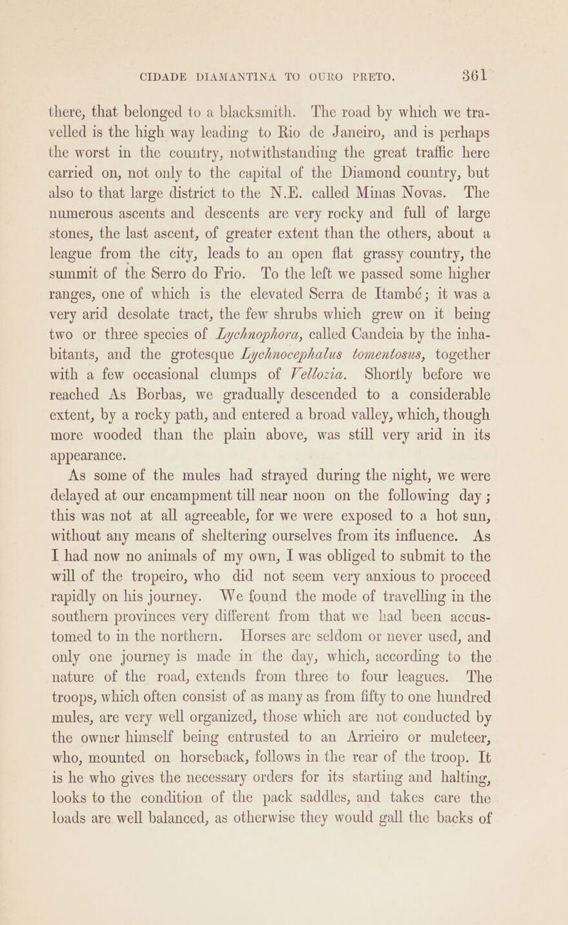 there, that belonged to a blacksmith. The road by which we tra- velled is the high way leading to Rio de Janeiro, and is perhaps the worst in the country, notwithstanding the great traffic here carried on, not only to the capital of the Diamond country, but also to that large district to the N.E. called Minas Novas. The numerous ascents and descents are very rocky and full of large stones, the last ascent, of greater extent than the others, about a league from the city, leads to an open flat grassy country, the summit of the Serro do Frio. To the left we passed some higher ranges, one of which is the elevated Serra de Itambé; it was a very arid desolate tract, the few shrubs which grew on it being two or three species of Lychnophora, called Candeia by the inha- bitants, and the grotesque Lychnocephalus tomentosus, together with a few occasional clumps of Vedlozia. Shortly before we reached As Borbas, we gradually descended to a considerable extent, by a rocky path, and entered a broad valley, which, though more wooded than the plain above, was still very arid in its appearance. As some of the mules had strayed during the night, we were delayed at our encampment till near noon on the following day ; this was not at all agreeable, for we were exposed to a hot sun, without any means of sheltering ourselves from its influence. As I had now no animals of my own, I was obliged to submit to the will of the tropeiro, who did not seem very anxious to proceed rapidly on his journey. We found the mode of travelling in the southern provinces very different from that we had been accus- tomed to in the northern. Horses are seldom or never used, and only one journey is made in the day, which, according to the nature of the road, extends from three to four leagues. The troops, which often consist of as many as from fifty to one hundred mules, are very well organized, those which are not conducted by the owner himself being entrusted to an Arrieiro or muleteer, who, mounted on horseback, follows in the rear of the troop. It is he who gives the necessary orders for its starting and halting, looks to the condition of the pack saddles, and takes care the loads are well balanced, as otherwise they would gall the backs of
