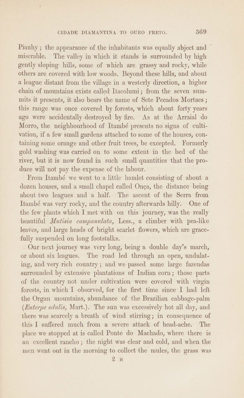 Piauhy ; the appearance of the inhabitants was equally abject and | miserable. The valley in which it stands is surrounded by high gently sloping hills, some of which are grassy and rocky, while others are covered with low woods. Beyond these hills, and about a league distant from the village in a westerly direction, a higher chain of mountains exists called Itacolumi; from the seven sum- mits it presents, it also bears the name of Sete Pecados Mortaes ; this range was once covered by forests, which about forty years ago were accidentally destroyed by fire. As at the Arraial do Morro, the neighbourhood of Itambé presents no signs of culti- vation, if a few small gardens attached to some of the houses, con- taining some orange and other fruit trees, be excepted. Formerly gold washing was carried on to some extent in the bed of the river, but it is now found in such small quantities that the pro- duce will not pay the expense of the labour. From Itambé we went to a little hamlet consisting of about a dozen houses, and a small chapel called Onga, the distance being about two leagues and a half. The ascent of the Serra from Itambé was very rocky, and the country afterwards hilly. One of the few plants which I met with on this journey, was the really beautiful Mutisia campanulata, Less., a climber with pea-like leaves, and large heads of bright scarlet flowers, which are grace- fully suspended on long footstalks. Our next journey was very long, being a double day’s march, or about six leagues. The road led through an open, undulat- ing, and very rich country ; and we passed some large fazendas surrounded by extensive plantations of Indian corn; those parts of the country not under cultivation were covered with virgin forests, in which I observed, for the first time since I had left the Organ mountains, abundance of the Brazilian cabbage-palm (Huterpe edulis, Mart.). The sun was excessively hot all day, and there was scarcely a breath of wind stirring; in consequence of this I suffered much from a severe attack of head-ache. The place we stopped at is called Ponte do Machado, where there is an excellent rancho ; the night was clear and cold, and when the men went out in the morning to collect the mules, the grass was