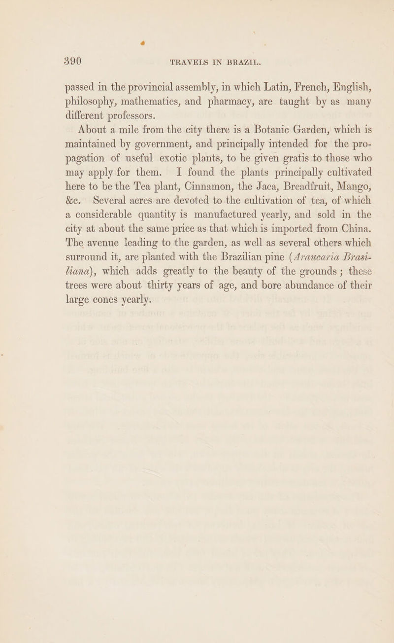 passed in the provincial assembly, in which Latin, French, English, philosophy, mathematics, and pharmacy, are taught by as many different professors. About a mile from the city there is a Botanic Garden, which is maintained by government, and principally mtended for the pro- pagation of useful exotic plants, to be given gratis to those who may apply for them. I found the plants principally cultivated here to be the Tea plant, Cmmamon, the Jaca, Breadfruit, Mango, &amp;c. Several acres are devoted to the cultivation of tea, of which a considerable quantity is manufactured yearly, and sold in the city at about the same price as that which is imported from China. The avenue leading to the garden, as well as several others which surround it, are planted with the Brazilian pine (4raucaria Brasi- hana), which adds greatly to the beauty of the grounds ; these trees were about thirty years of age, and bore abundance of their large cones yearly.