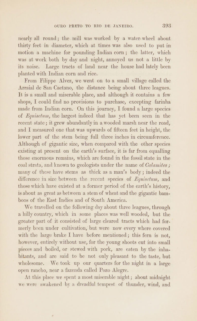 nearly all round; the mill was worked by a water-wheel about thirty feet m diameter, which at times was also used to put in motion a machine for pounding Indian corn; the latter, which was at work both by day and night, annoyed us not a little by its noise. Large tracts of land near the house had lately been planted with Indian corn and rice. | From Filippe Alvez, we went on toa small village called the Arraial de San Caetano, the distance bemg about three leagues. It is a small and miserable place, and although it contains a few shops, [ could find no provisions to purchase, excepting farinha made from Indian corn. On this journey, I found a large species of Hguisetum, the largest indeed that has yet been seen in the recent state ; it grew abundantly in a wooded marsh near the road, and [ measured one that was upwards of fifteen feet in height, the lower part of the stem being full three inches in circumference. Although of gigantic size, when compared with the other species existing at present on the earth’s surface, it is far from equalling those enormous remains, which are found in the fossil state in the coal strata, and known to geologists under the name of Calamites ; many of these have stems as thick as a man’s body; indeed the difference in size between the recent species of Hguisetum, and those which have existed at a former period of the earth’s history, is about as great as between a stem of wheat and the gigantic bam- boos of the East Indies and of South America. We travelled on the following day about three leagues, through a lilly country, which in some places was well wooded, but the greater part of 1t consisted of large cleared tracts which had for- merly been under cultivation, but were now every where covered with the large brake I have before mentioned; this fern is not, however, entirely without use, for the young shoots cut into small pieces and boiled, or stewed with pork, are eaten by the inha- bitants, and are said to be not only pleasant to the taste, but wholesome. We took up our quarters for the night in a large open rancho, near a fazenda called Pozo Alegre. At this place we spent a most miserable night ; about midnight we were awakened by a dreadful tempest of thunder, wind, and