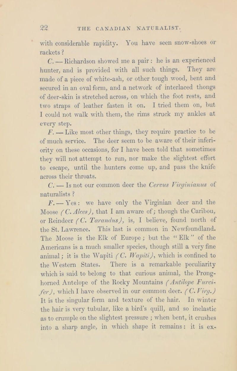 with considerable rapidity. You have seen snow-shoes or rackets ? C.— Richardson showed me a pair: he is an experienced hunter, and is provided with all such things. They are made of a piece of white-ash, or other tough wood, bent and secured in an oval form, and a network of interlaced thongs of deer-skin is stretched across, on which the foot rests, and two straps of leather fasten it on. I tried them on, but I could not walk with them, the rims struck my ankles at every step. F. — Like most other things, they require practice to be of much service. The deer seem to be aware of their inferi- ority on these occasions, for I have been told that sometimes they will not attempt to run, nor make the slightest effort to escape, until the hunters come up, and pass the knife across their throats. C.— Is not our common deer the Cervus Virginianus of naturalists ? F.— Yes: we have only the Virginian deer and the Moose (C. Alces), that I am aware of ; though the Caribou, or Reindeer (C. Tarandus), is, I believe, found north of the St. Lawrence. This last is common in Newfoundland. The Moose is the Elk of Europe; but the “Elk” of the Americans is a much smaller species, though still a very fine animal ; it is the Wapiti (C. Wapiti), which is confined to the Western States. There is a remarkable peculiarity which is said to belong to that curious animal, the Prong- horned Antelope of the Rocky Mountains ( Antilope Furci- fer), which I have observed in our common deer. (C. Virg.) It is the singular form and texture of the hair. In winter the hair is very tubular, like a bird’s quill, and so inelastic as to crumple on the slightest pressure ; when bent, it crushes into a sharp angle, in which shape it remains: it is ex-