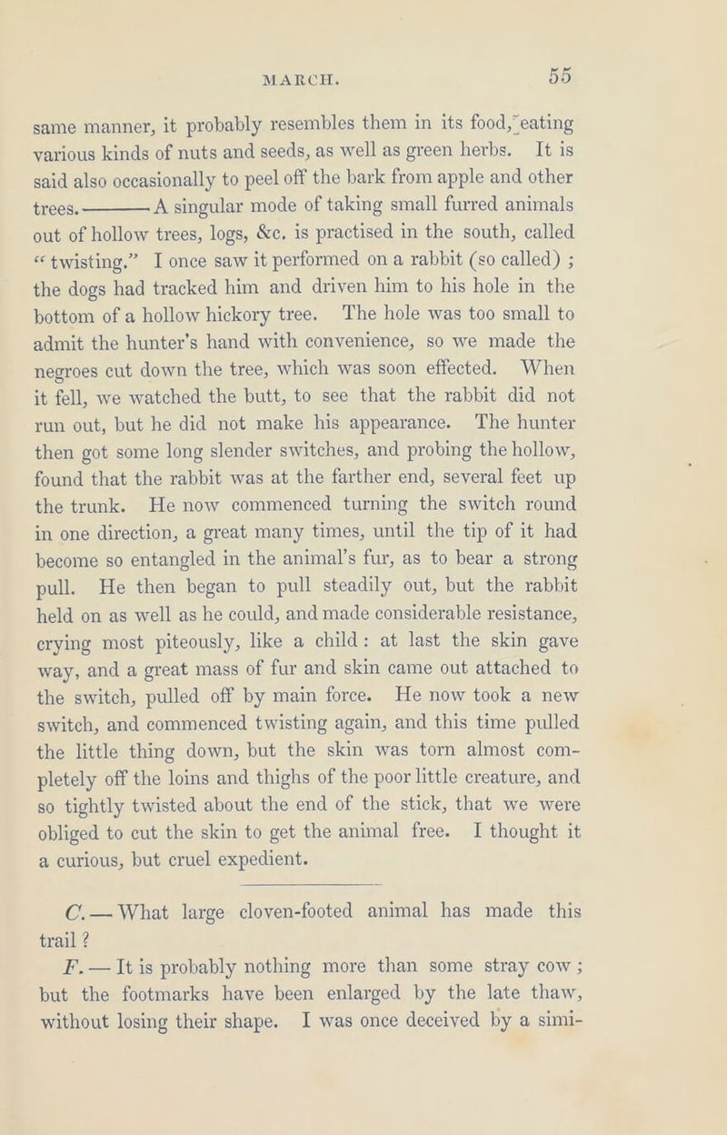 same manner, it probably resembles them in its food,’ eating various kinds of nuts and seeds, as well as green herbs. It is said also occasionally to peel off the bark from apple and other trees. A singular mode of taking small furred animals out of hollow trees, logs, &amp;c. is practised in the south, called « twisting.” I once saw it performed on a rabbit (so called) ; the dogs had tracked him and driven him to his hole in the bottom of a hollow hickory tree. The hole was too small to admit the hunter’s hand with convenience, so we made the negroes cut down the tree, which was soon effected. When it fell, we watched the butt, to see that the rabbit did not run out, but he did not make his appearance. The hunter then got some long slender switches, and probing the hollow, found that the rabbit was at the farther end, several feet up the trunk. He now commenced turning the switch round in one direction, a great many times, until the tip of it had become so entangled in the animal’s fur, as to bear a strong pull. He then began to pull steadily out, but the rabbit held on as well as he could, and made considerable resistance, crying most piteously, like a child: at last the skin gave way, and a great mass of fur and skin came out attached to the switch, pulled off by main force. He now took a new switch, and commenced twisting again, and this time pulled the little thing down, but the skin was torn almost com- pletely off the loins and thighs of the poor little creature, and so tightly twisted about the end of the stick, that we were obliged to cut the skin to get the animal free. I thought it a curious, but cruel expedient. C.— What large cloven-footed animal has made this trail ? F.— It is probably nothing more than some stray cow ; but the footmarks have been enlarged by the late thaw, without losing their shape. I was once deceived by a simi-