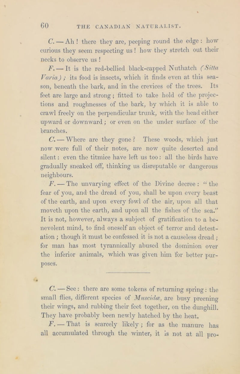 C.—Ah! there they are, peeping round the edge: how curious they seem respecting us! how they stretch out their necks to observe us ! F.—It is the red-bellied black-capped Nuthatch (Svtta Varia) ; its food is insects, which it finds even at this sea- son, beneath the bark, and in the crevices of the trees. Its feet are large and strong ; fitted to take hold of the projec- tions and roughnesses of the bark, by which it is able to crawl freely on the perpendicular trunk, with the head either upward or downward ; or even on the under surface of the branches, C.— Where are they gone? These woods, which just now were full of their notes, are now quite deserted and silent: even the titmice have left us too: all the birds have gradually sneaked off, thinking us disreputable or dangerous neighbours. F.— The unvarying effect of the Divine decree: “ the fear of you, and the dread of you, shall be upon every beast of the earth, and upon every fowl of the air, upon all that moveth upon the earth, and upon all the fishes of the sea.” It is not, however, always a subject of gratification to a be- nevolent mind, to find oneself an object of terror and detest- ation ; though it must be confessed it is not a causeless dread ; for man has most tyrannically abused the dominion over the inferior animals, which was given him for better pur- poses, C.—See: there are some tokens of returning spring: the small flies, different species of Muscide, are busy preening their wings, and rubbing their feet together, on the dunghill. They have probably been newly hatched by the heat. F,— That is scarcely likely ; for as the manure has all accumulated through the winter, it is not at all pro-