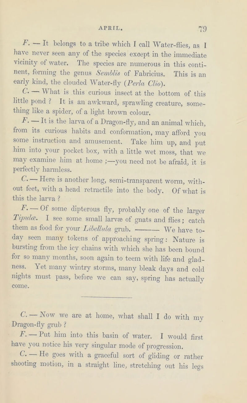 F, —It belongs to a tribe which I call Water-flies, as I have never seen any of the species except in the immediate vicinity of water. The species are numerous in this conti- nent, forming the genus Semblis of Fabricius. This is an early kind, the clouded Water-fly (Perla Clio). C.— What is this curious insect at the bottom of this little pond? It is an awkward, sprawling creature, some- thing like a spider, of a light brown colour, F’. — It is the larva of a Dragon-fly, and an animal which, from its curious habits and conformation, may afford you some instruction and amusement. Take him up, and put him into your pocket box, with a little wet moss, that we may examine him at home 3—you need not be afraid, it is perfectly harmless. C. — Here is another long, semi-transparent worm, with- out feet, with a head retractile into the body. Of what is this the larva ? F’.— Of some dipterous fly, probably one of the larger Tipule. 1 see some small larve of gnats and flies; catch them as food for your Libellula grub. — We have to- day seen many tokens of approaching spring: Nature is bursting from the icy chains with which she has been bound for so many months, soon again to teem with life and glad- ness. Yet many wintry storms, many bleak days and cold nights must pass, before we can say, Spring has actually come. C. — Now we are at home, what shall I do with my Dragon-fly grub ? #.— Put him into this basin of water. I would frst have you notice his very singular mode of progression. C. — He goes with a graceful sort of gliding or rather shooting motion, in a straight line, stretching out his legs