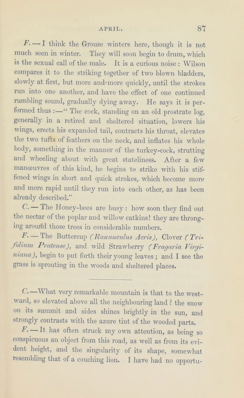 F.—T think the Grouse winters here, though it is not much seen in winter. They will soon begin to drum, which is the sexual call of the male. It is a curious noise : Wilson compares it to the striking together of two blown bladders, slowly at first, but more and»more quickly, until the strokes run into one another, and have the effect of one continued rumbling sound, gradually dying away. He says it is per- formed thus :—“ The cock, standing on an old prostrate log, generally in a retired and sheltered situation, lowers his wings, erects his expanded tail, contracts his throat, elevates the two tufts of feathers on the neck, and inflates his whole body, something in the manner of the turkey-cock, strutting and wheeling about with great stateliness. After a few maneuvres of this kind, he begins to strike with his stif fened wings in short and quick strokes, which become more and more rapid until they run into each other, as has been already described.” C.— The Honey-bees are busy: how soon they find out the nectar of the poplar and willow catkins! they are throng- ing around those trees in considerable numbers. ieee Buttercup (Ranunculus Acris), Clover ( Tri- Solium Pratense), and wild Strawberry (Fragaria Virgi- niana), begin to put forth their young leaves; and I see the grass is sprouting in the woods and sheltered places. C.—What very remarkable mountain is that to the west- ward, so elevated above all the neighbouring land? the snow on its summit and sides shines brightly in the sun, and strongly contrasts with the azure tint of the wooded parts. F.—It has often struck my own attention, as being so conspicuous an object from this road, as well as from its evi- dent height, and the singularity of its shape, somewhat resembling that of a couching lion. I have had no opportu-