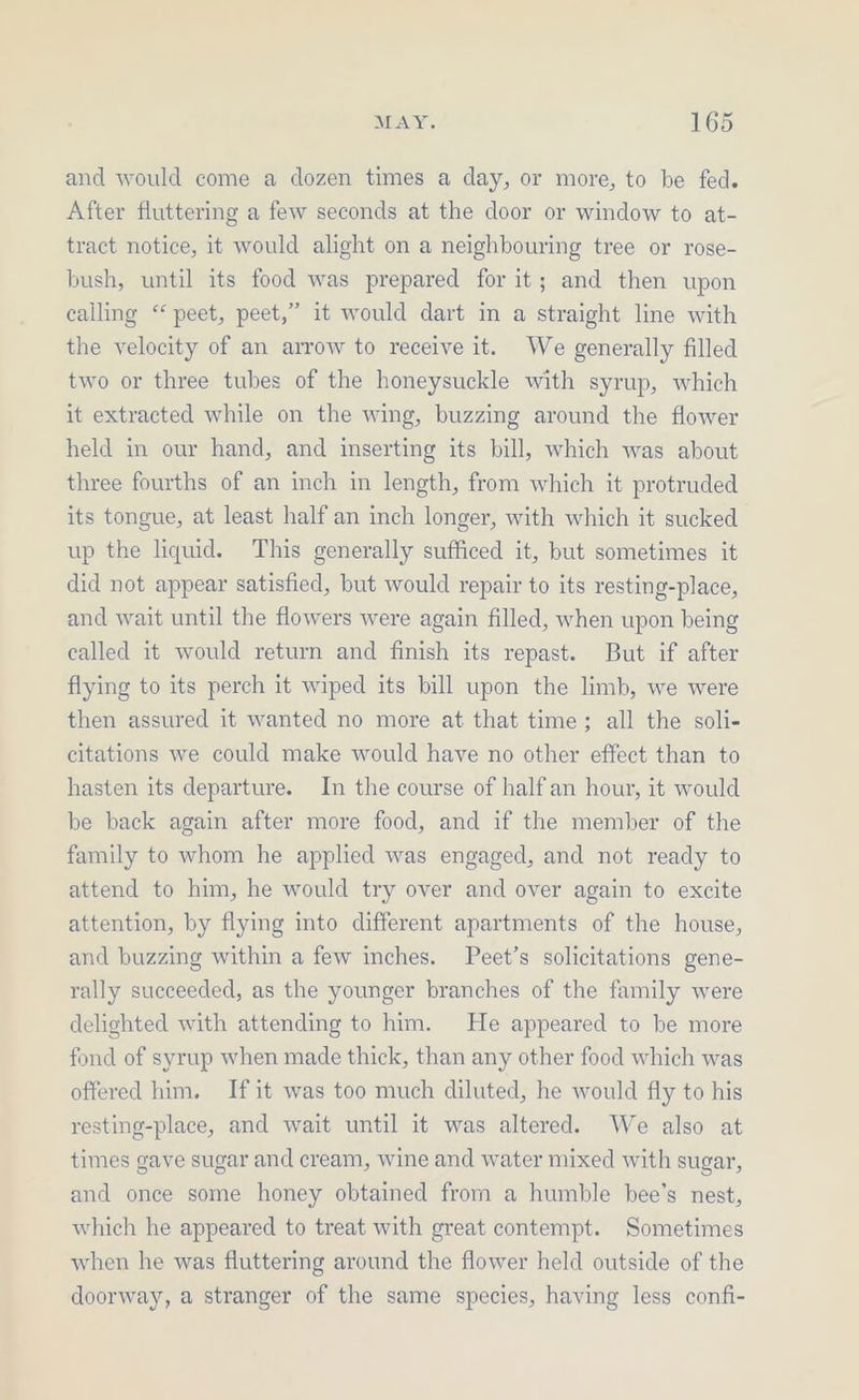 and would come a dozen times a day, or more, to be fed. After fluttering a few seconds at the door or window to at- tract notice, it would alight on a neighbouring tree or rose- bush, until its food was prepared for it; and then upon calling ‘‘ peet, peet,” it would dart in a straight line with the velocity of an arrow to receive it. We generally filled two or three tubes of the honeysuckle with syrup, which it extracted while on the wing, buzzing around the flower held in our hand, and inserting its bill, which was about three fourths of an inch in length, from which it protruded its tongue, at least half an inch longer, with which it sucked up the liquid. This generally sufficed it, but sometimes it did not appear satisfied, but would repair to its resting-place, and wait until the flowers were again filled, when upon being ealled it would return and finish its repast. But if after flying to its perch it wiped its bill upon the limb, we were then assured it wanted no more at that time; all the soli- citations we could make would have no other effect than to hasten its departure. In the course of half an hour, it would be back again after more food, and if the member of the family to whom he applied was engaged, and not ready to attend to him, he would try over and over again to excite attention, by flying into different apartments of the house, and buzzing within a few inches. Peet’s solicitations gene- rally sueceeded, as the younger branches of the family were delighted with attending to him. He appeared to be more fond of syrup when made thick, than any other food which was offered him. If it was too much diluted, he would fly to his resting-place, and wait until it was altered. We also at times gave sugar and cream, wine and water mixed with sugar, and once some honey obtained from a humble bee’s nest, which he appeared to treat with great contempt. Sometimes when he was fluttering around the flower held outside of the doorway, a stranger of the same species, having less confi-