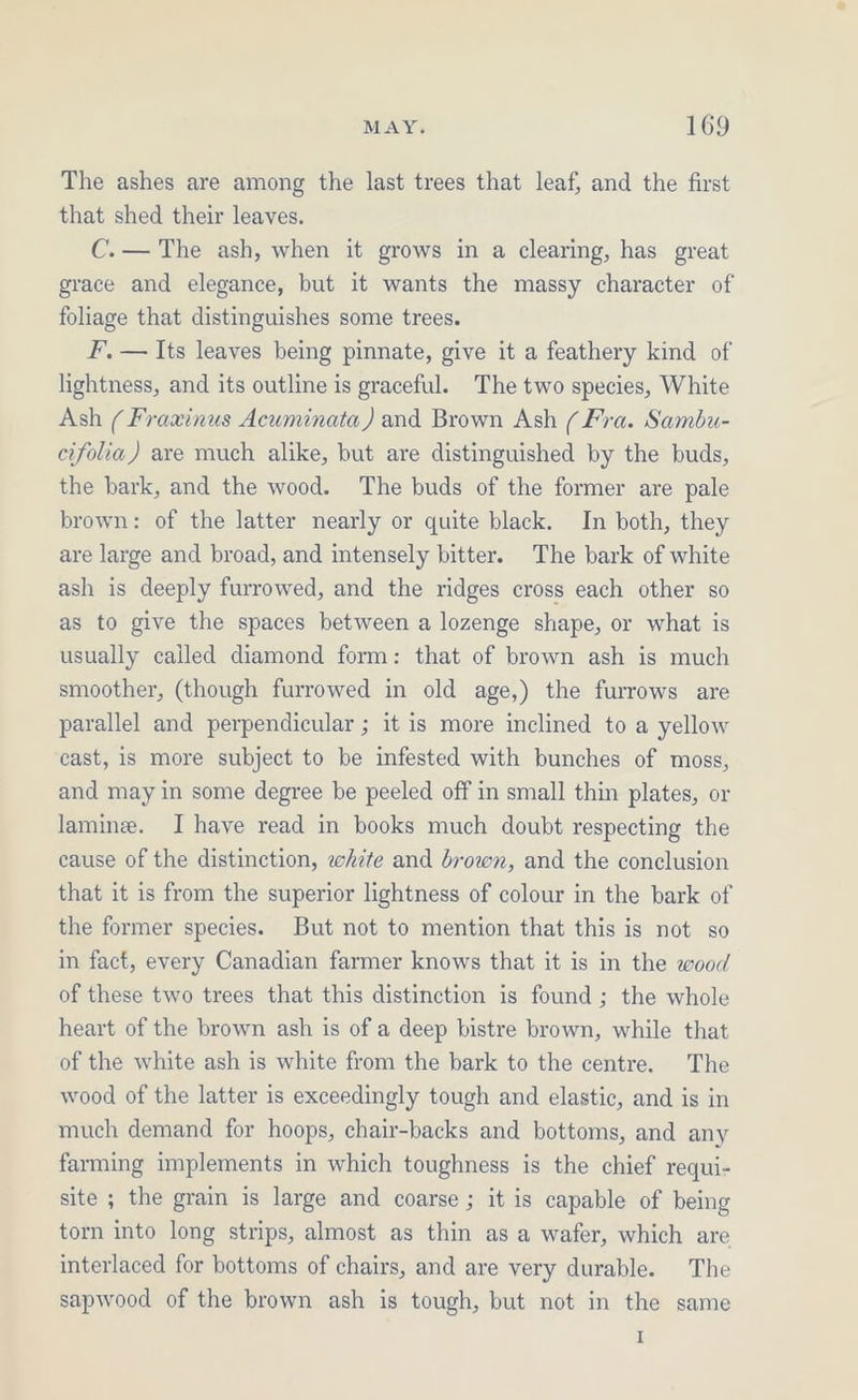 The ashes are among the last trees that leaf, and the first that shed their leaves. C.— The ash, when it grows in a clearing, has great grace and elegance, but it wants the massy character of foliage that distinguishes some trees. F’, — Its leaves being pinnate, give it a feathery kind of lightness, and its outline is graceful. The two species, White Ash ( Fraxinus Acuminata) and Brown Ash (Fra. Sambu- cifolia ) are much alike, but are distinguished by the buds, the bark, and the wood. The buds of the former are pale brown: of the latter nearly or quite black. In both, they are large and broad, and intensely bitter. The bark of white ash is deeply furrowed, and the ridges cross each other so as to give the spaces between a lozenge shape, or what is usually called diamond form: that of brown ash is much smoother, (though furrowed in old age,) the furrows are parallel and perpendicular ; it is more inclined to a yellow cast, is more subject to be infested with bunches of moss, and may in some degree be peeled off in small thin plates, or lamine. I have read in books much doubt respecting the cause of the distinction, whzte and brown, and the conclusion that it is from the superior lightness of colour in the bark of the former species. But not to mention that this is not so in fact, every Canadian farmer knows that it is in the wood of these two trees that this distinction is found; the whole heart of the brown ash is of a deep bistre brown, while that of the white ash is white from the bark to the centre. The wood of the latter is exceedingly tough and elastic, and is in much demand for hoops, chair-backs and bottoms, and any farming implements in which toughness is the chief requi- site ; the grain is large and coarse ; it is capable of being torn into long strips, almost as thin as a wafer, which are interlaced for bottoms of chairs, and are very durable. The sapwood of the brown ash is tough, but not in the same I