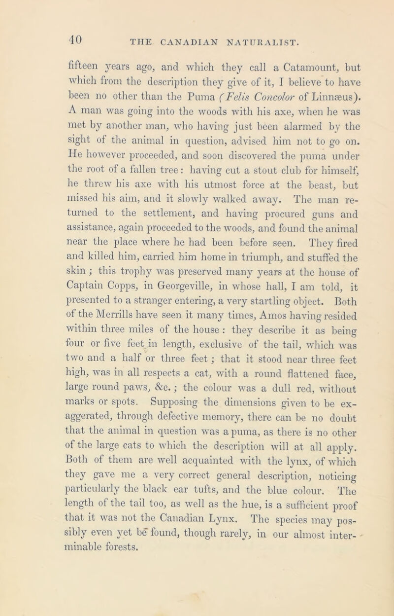 10 fifteen years ago, and which they call a Catamount, but which from the description they give of it, I believe to have been no other than the Puma (Felts Concolor of Linnaeus). A man was going into the woods with his axe, when he was met by another man, who having just been alarmed by the sight of the animal in question, advised him not to go on. He however proceeded, and soon discovered the puma under the root of a fallen tree: having cut a stout club for himself, he threw his axe with his utmost force at the beast, but missed his aim, and it slowly walked away. The man re- turned to the settlement, and having procured guns and assistance, again proceeded to the woods, and found the animal near the place where he had been before seen. They fired and killed him, carried him home in triumph, and stuffed the skin ; this trophy was preserved many years at the house of Captain Copps, in Georgeville, in whose hall, I am told, it presented to a stranger entering, a very startling object. Both of the Merrills have seen it many times, Amos having resided within three miles of the house : they describe it as being four or five feet in length, exclusive of the tail, which was two and a half or three feet; that it stood near three feet high, was in all respects a cat, with a round flattened face, large round paws, &c.; the colour was a dull red, without marks or spots. Supposing the dimensions given to be ex- aggerated, through defective memory, there can be no doubt that the animal in question was a puma, as there is no other of the large cats to which the description will at all apply. Both of them are well acquainted with the lynx, of which they gave me a very correct general description, noticing particularly the black ear tufts, and the blue colour. The length of the tail too, as well as the hue, is a sufficient proof that it was not the Canadian Lynx. The species may pos- sibly even yet be found, though rarely, in our almost inter- minable forests.