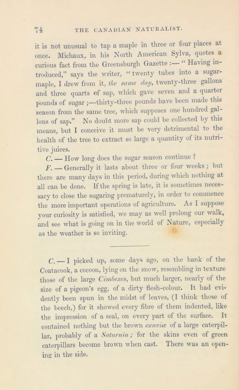 it is not unusual to tap a maple in three or four places at once. Michaux, in his North American Sylva, quotes a curious fact from the Greensburgh Gazette : Having in troduced,” says the writer, “ twenty tubes into a sugar- maple, I drew from it, the same day, twenty-three gallons and three quarts of sap, which gave seven and a quarter pounds of sugarthirty-three pounds have been made this season from the same tree, which supposes one hundred gal- lons of sap.” No doubt more sap could be collected by this means, but I conceive it must be very detrimental to the health of the tree to extract so large a quantity of its nutri- tive juices. C. — How long does the sugar season continue ? F. Generally it lasts about three or four weeks ; but there are many days in this period, during which nothing at all can be done. If the spring is late, it is sometimes neces- sary to close the sugaring prematurely, in order to commence the more important operations of agriculture. As I suppose your curiosity is satisfied, we may as well prolong our walk, and see what is going on in the world of Aature, especially as the weather is so inviting. C. — I picked up, some days ago, on the bank of the Coatacook, a cocoon, lying on the snow, resembling in texture those of the large Cimhexes, but much larger, nearly of the size of a pigeon’s egg, of a dirty flesh-colour. It had evi- dently been spun in the midst of leaves, (I think those of the beech,) for it showed every fibre of them indented, like the impression of a seal, on every part of the surface. It contained nothing but the brown exuvice of a large caterpil- lar, probably of a Saturnia; for the skins even of green caterpillars become brown when cast. There was an open- ing in the side.