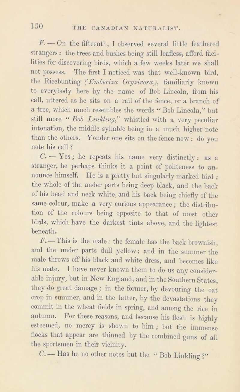 ISO F. — On the fifteenth, I observed several little feathered strangers : the trees and bushes being still leafless, afford faci- lities for discovering birds, which a few weeks later we shall not possess. The first I noticed was that well-known bird, the Ricebunting (Emberiza Oryzivora), familiarly known to everybody here by the name of Bob Lincoln, from his call, uttered as he sits on a rail of the fence, or a branch of a tree, which much resembles the words “ Bob Lincoln,” but still more “ Bob Linkling,” whistled with a very peculiar intonation, the middle syllable being in a much higher note than the others. Yonder one sits on the fence now : do you note his call ? C. — Yes; he repeats his name very distinctly: as a stranger, he perhaps thinks it a point of politeness to an- nounce himself. He is a pretty but singularly marked bird ; the whole of the under parts being deep black, and the back of his head and neck white, and his back being chiefly of the same colour, make a very curious appearance; the distribu- tion of the colours being opposite to that of most other birds, which have the darkest tints above, and the lightest beneath. F. — This is the male: the female has the back brownish, and the under parts dull yellow; and in the summer the male throws off his black and white dress, and becomes like his mate. I have never known them to do us any consider- able injury, but in New England, and in the Southern States, they do great damage ; in the former, by devouring the oat crop in summer, and in the latter, by the devastations they commit in the wheat fields in spring, and among the rice in autumn. For these reasons, and because his flesh is highly esteemed, no mercy is shown to him ; but the immense flocks that appear are thinned by the combined guns of all the sportsmen in their vicinity. C. — Has he no other notes but the “ Bob Linkling ?”