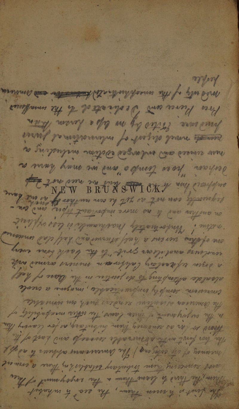 career i ee amy, bee ae oe, neque, « ay ‘ >} We ) Ag ar mC er rez Sai | oy img 0 ypu a 4) the f ore ig poy am 4 A sera, Pe ne. Dy seg wagers i wreetn was ( : ¥ v 4 a tad Wie yar Ce Lr. Fgh ila r severe | ee. Vig -y,‘aeweg vi a omy : Coe Gempgew ee a. aia diy Mas